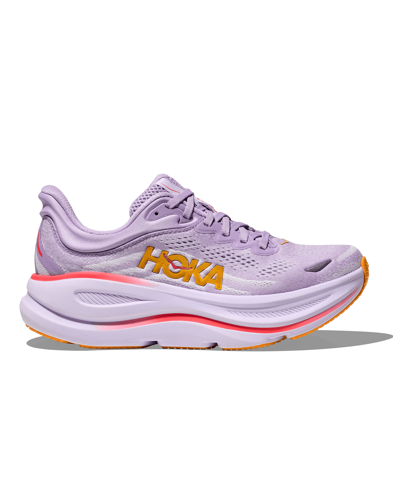 Aster Flower / Starlight Glow