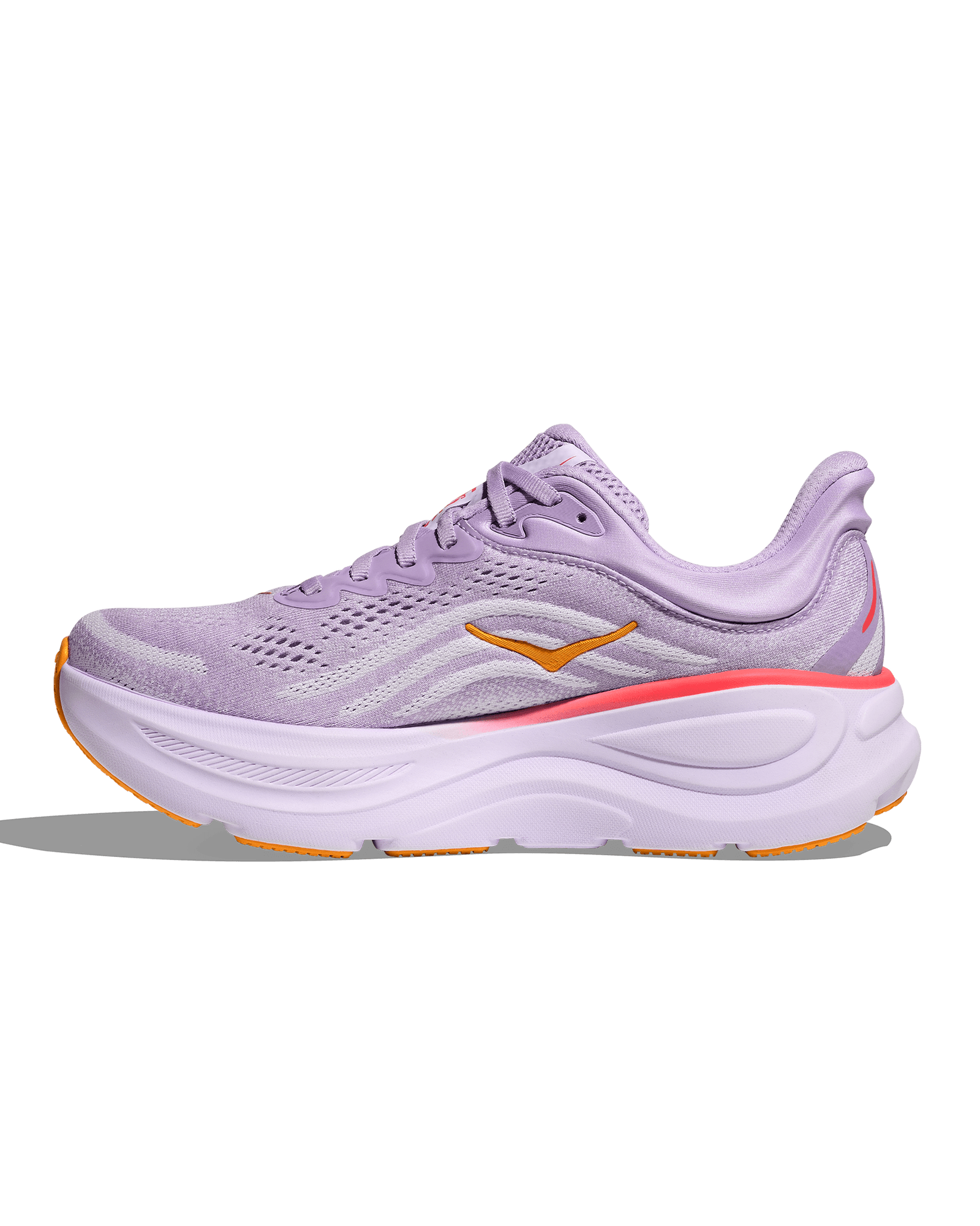 Aster Flower / Starlight Glow