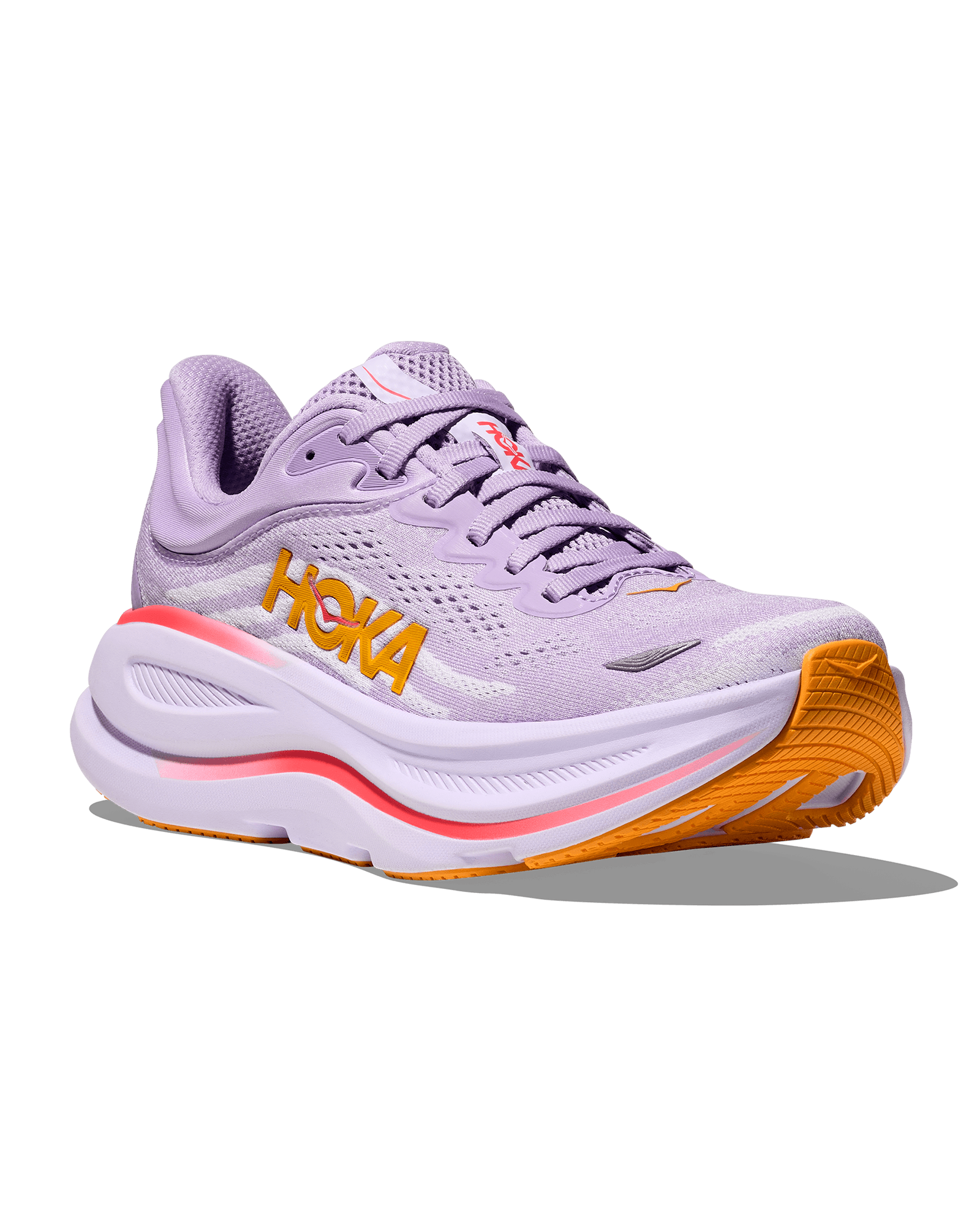 Aster Flower / Starlight Glow