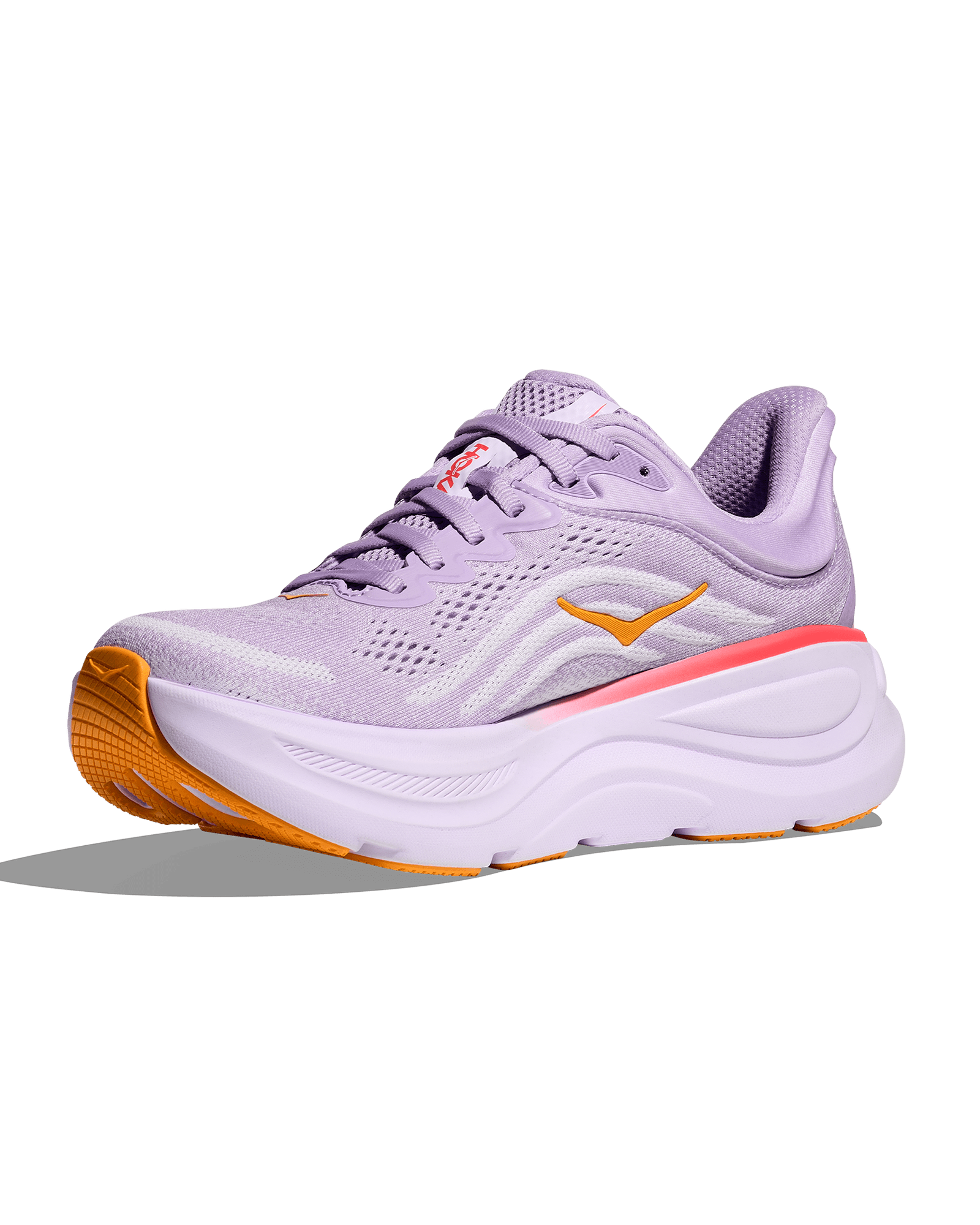 Aster Flower / Starlight Glow