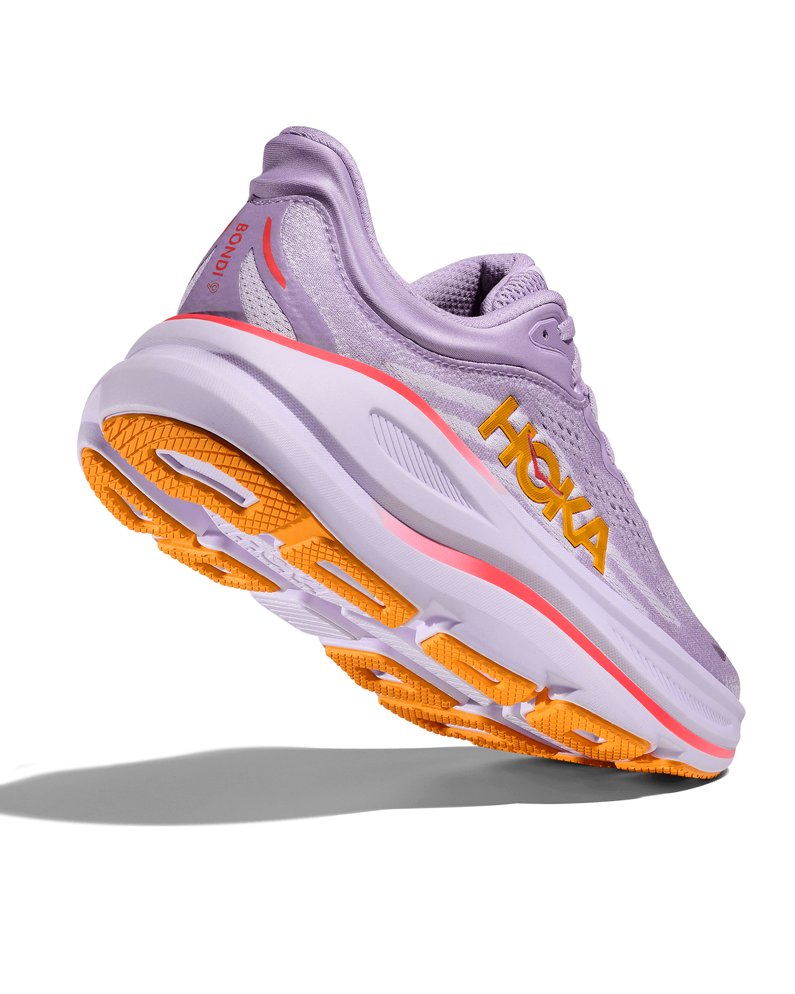 Aster Flower / Starlight Glow