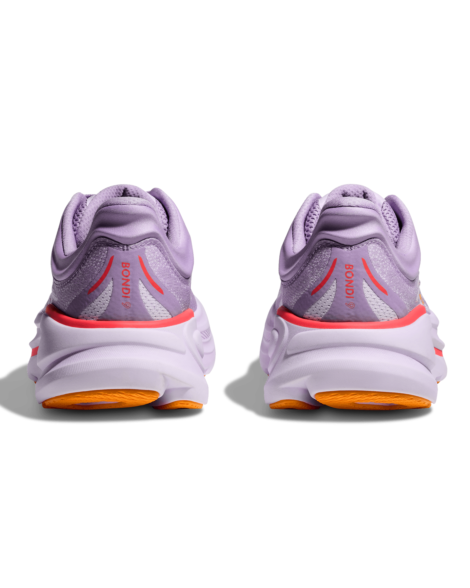 Aster Flower / Starlight Glow