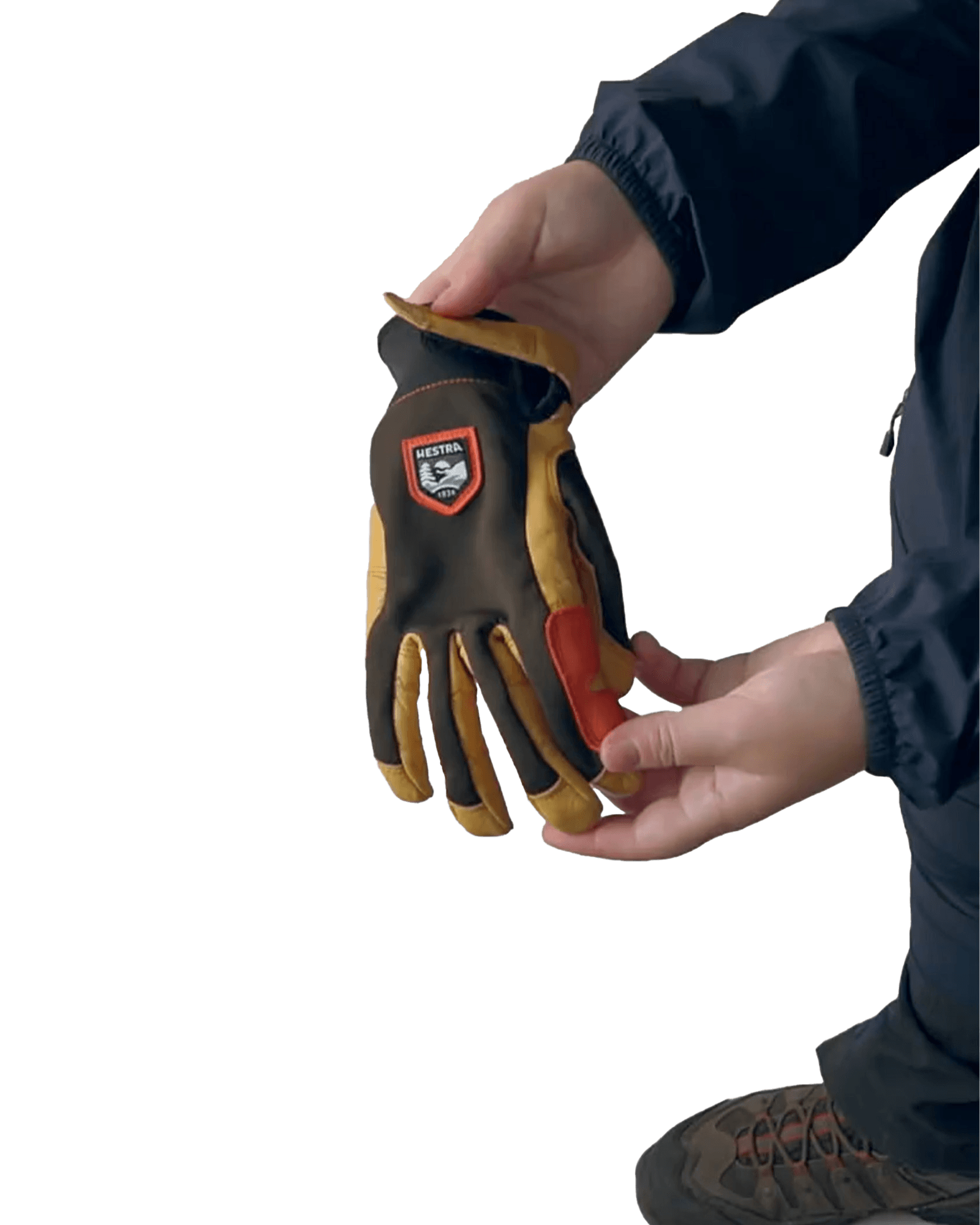 Dark Forest/Naturbrun