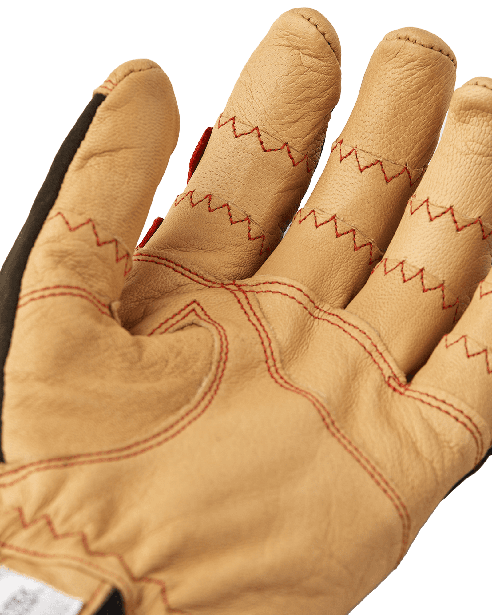 Dark Forest/Naturbrun