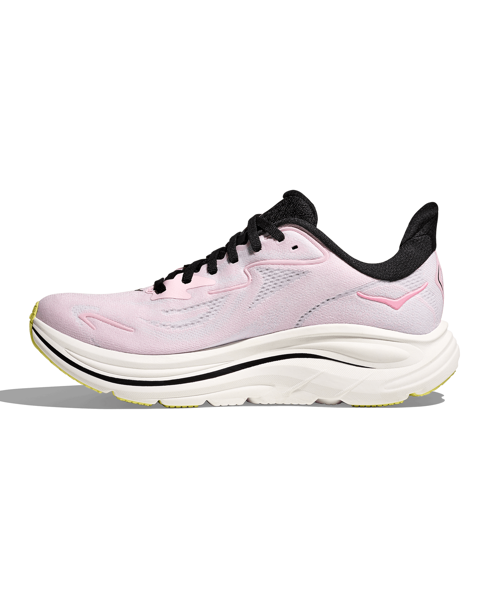 Carnation / Starlight Glow