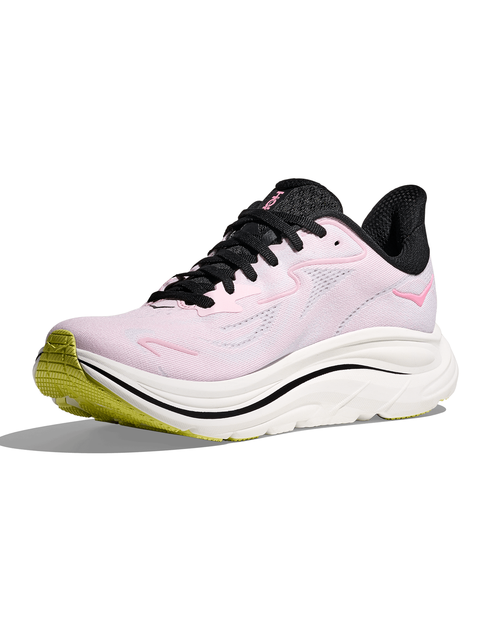 Carnation / Starlight Glow