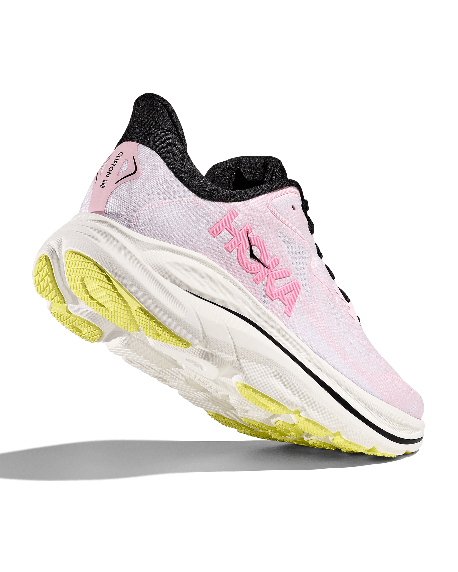 Carnation / Starlight Glow