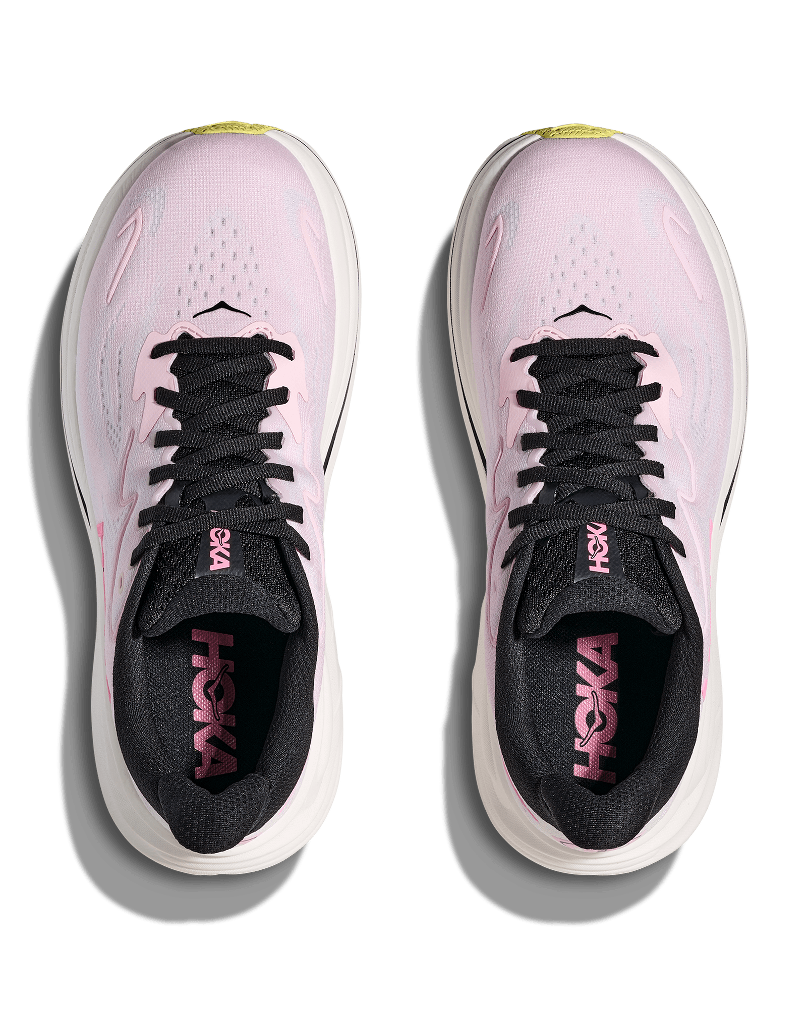 Carnation / Starlight Glow