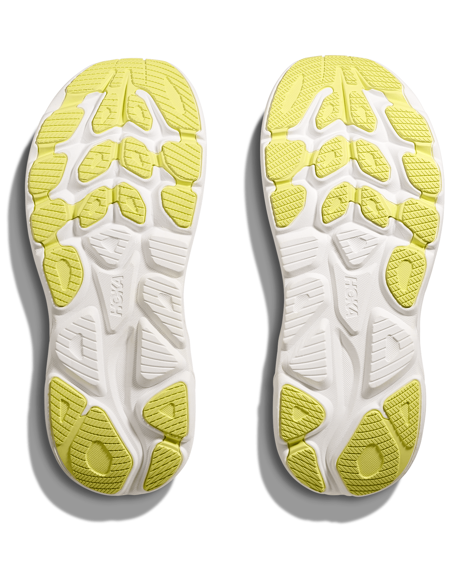 Carnation / Starlight Glow