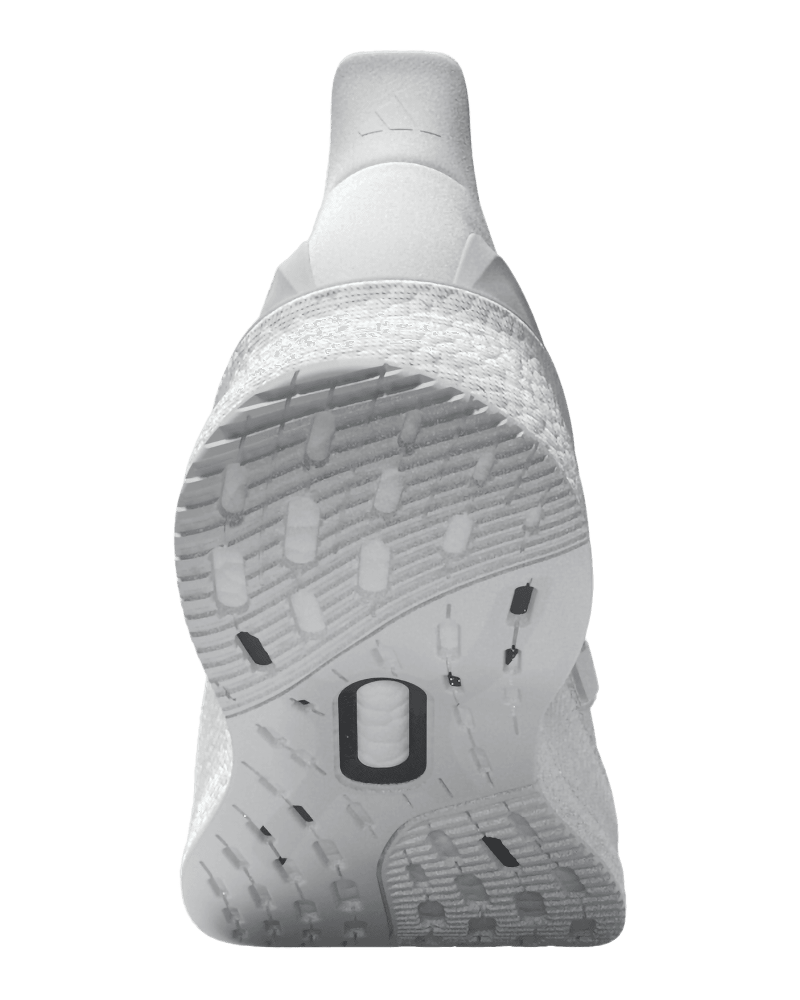 Ftwwht/Ftwwht/Crywht