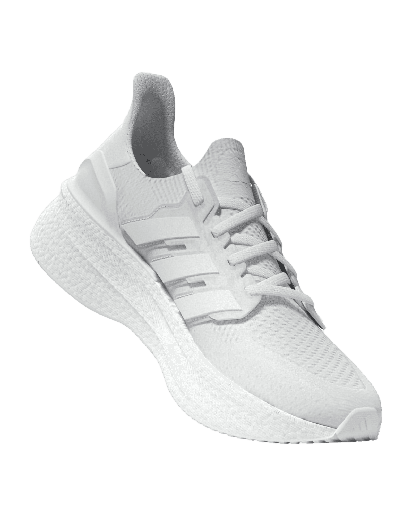 Ftwwht/Ftwwht/Ftwwht