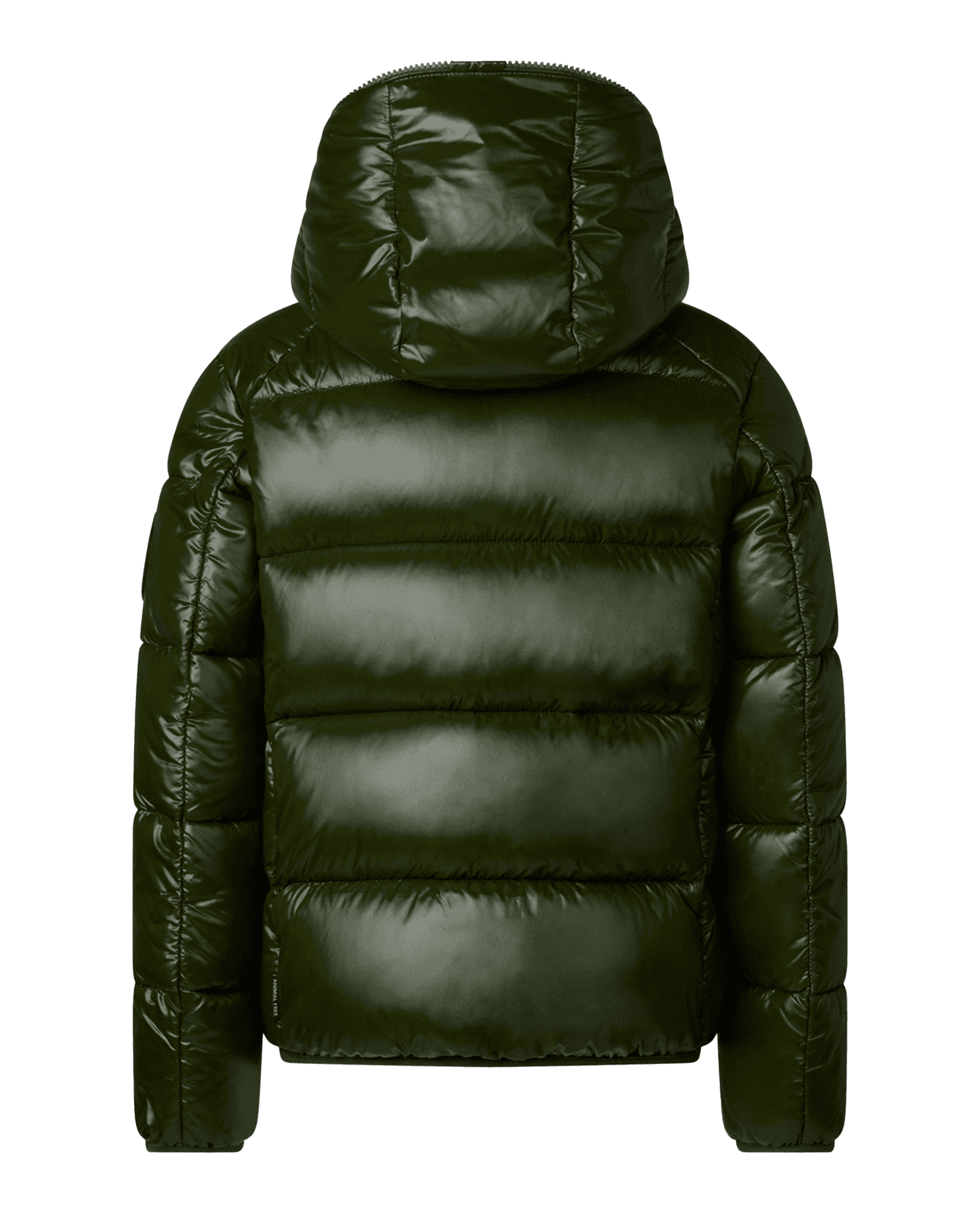 Pine Green