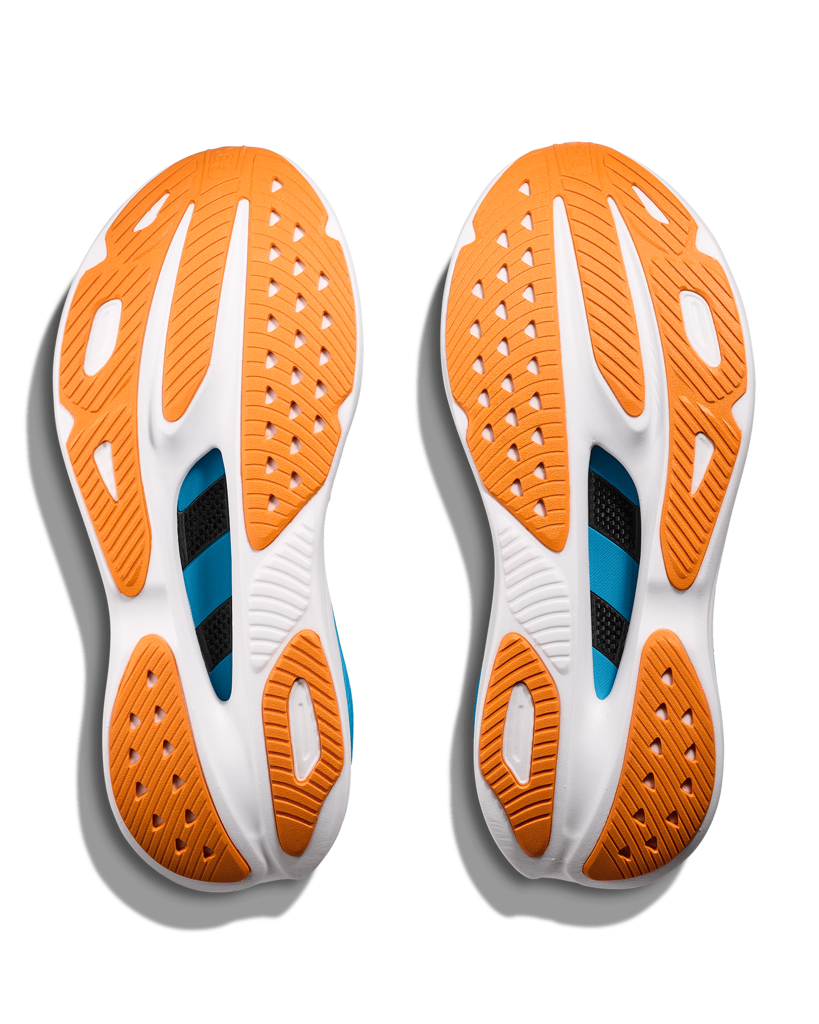 Clear Sea/Alpine Blue