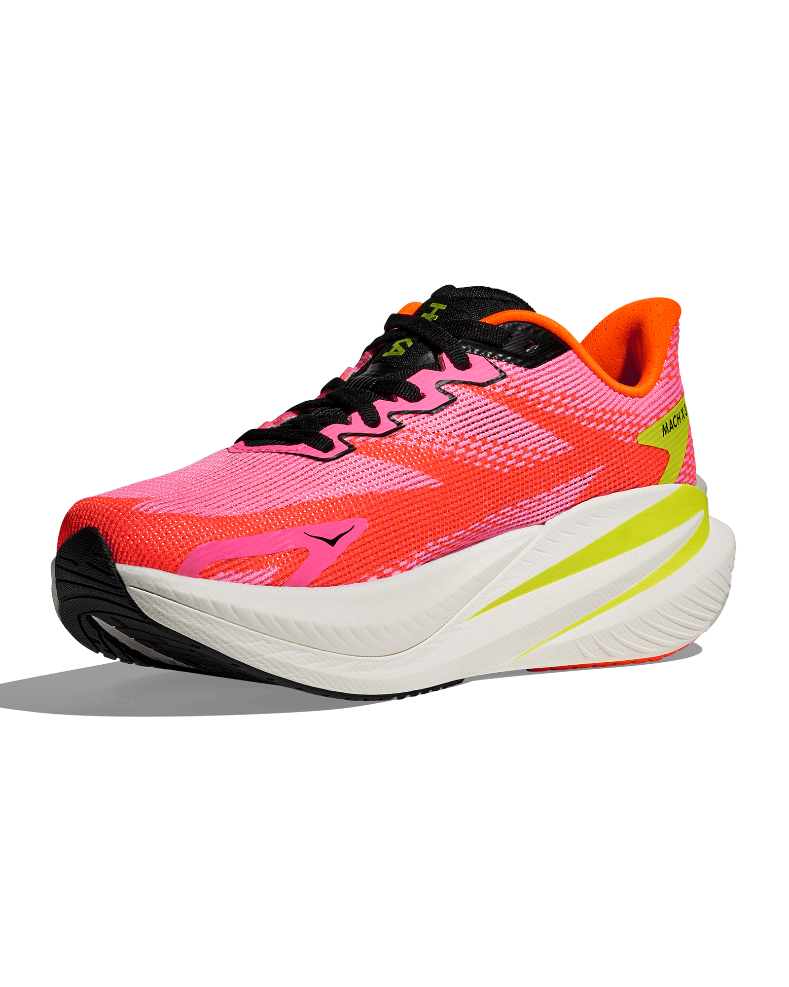 Neon Rose/Neon Tangerine