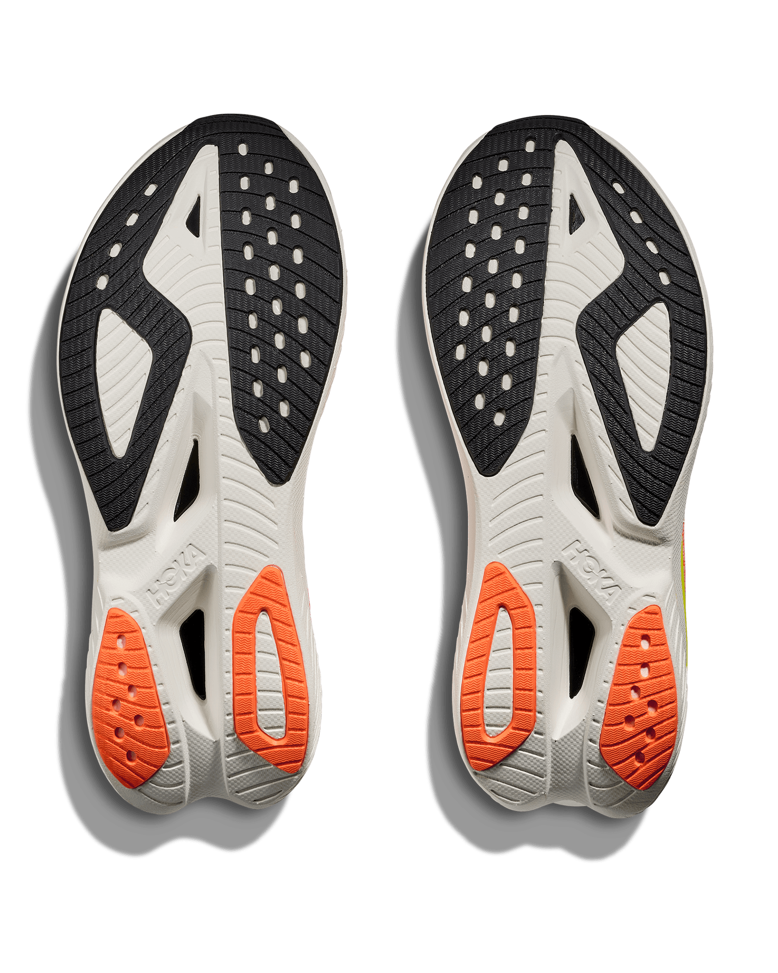 Neon Rose/Neon Tangerine