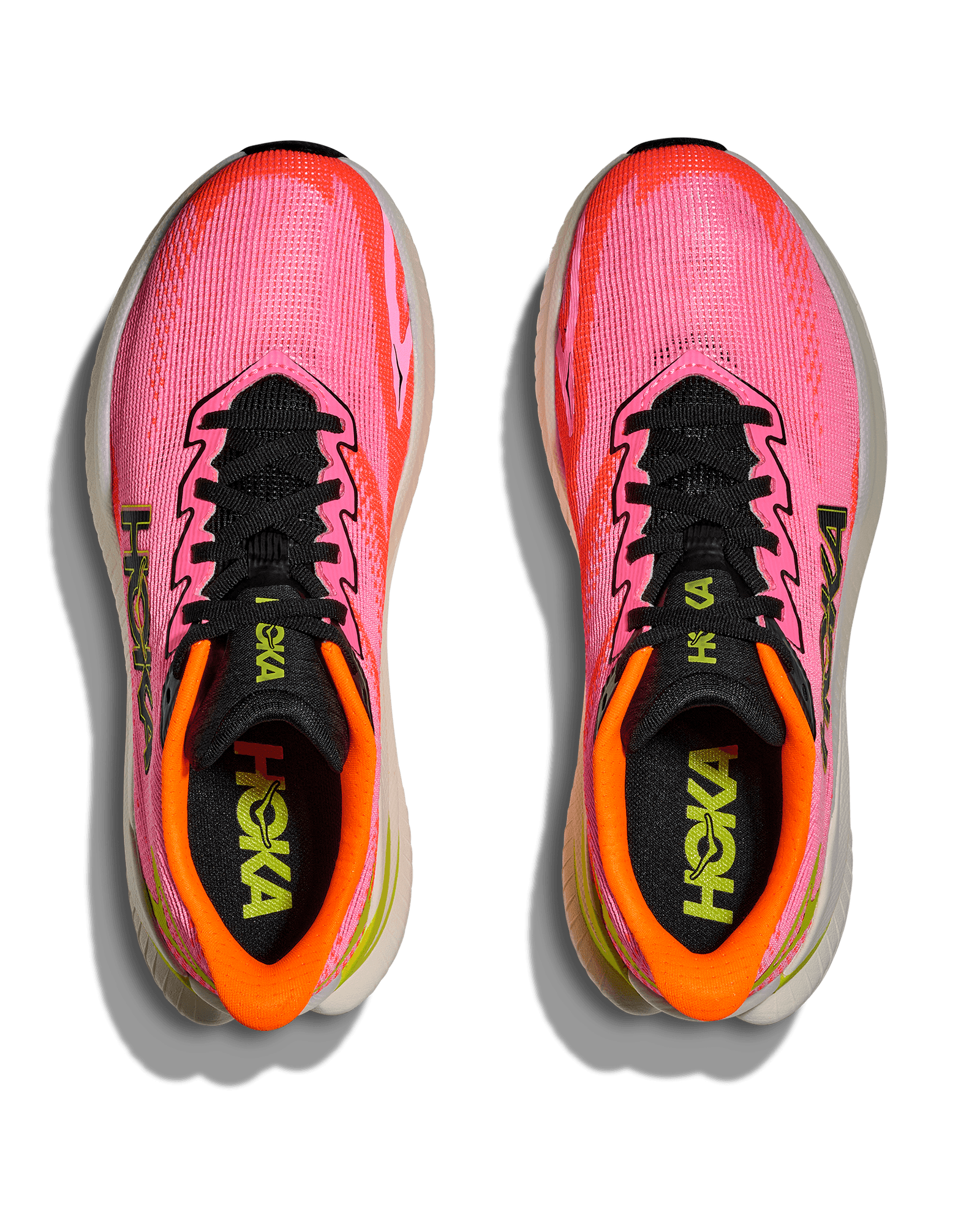 Neon Rose/Neon Tangerine