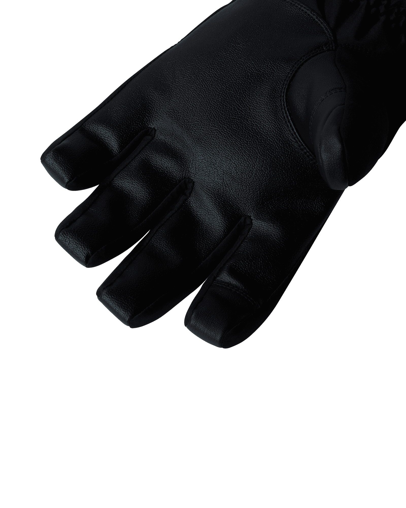 TNF Black
