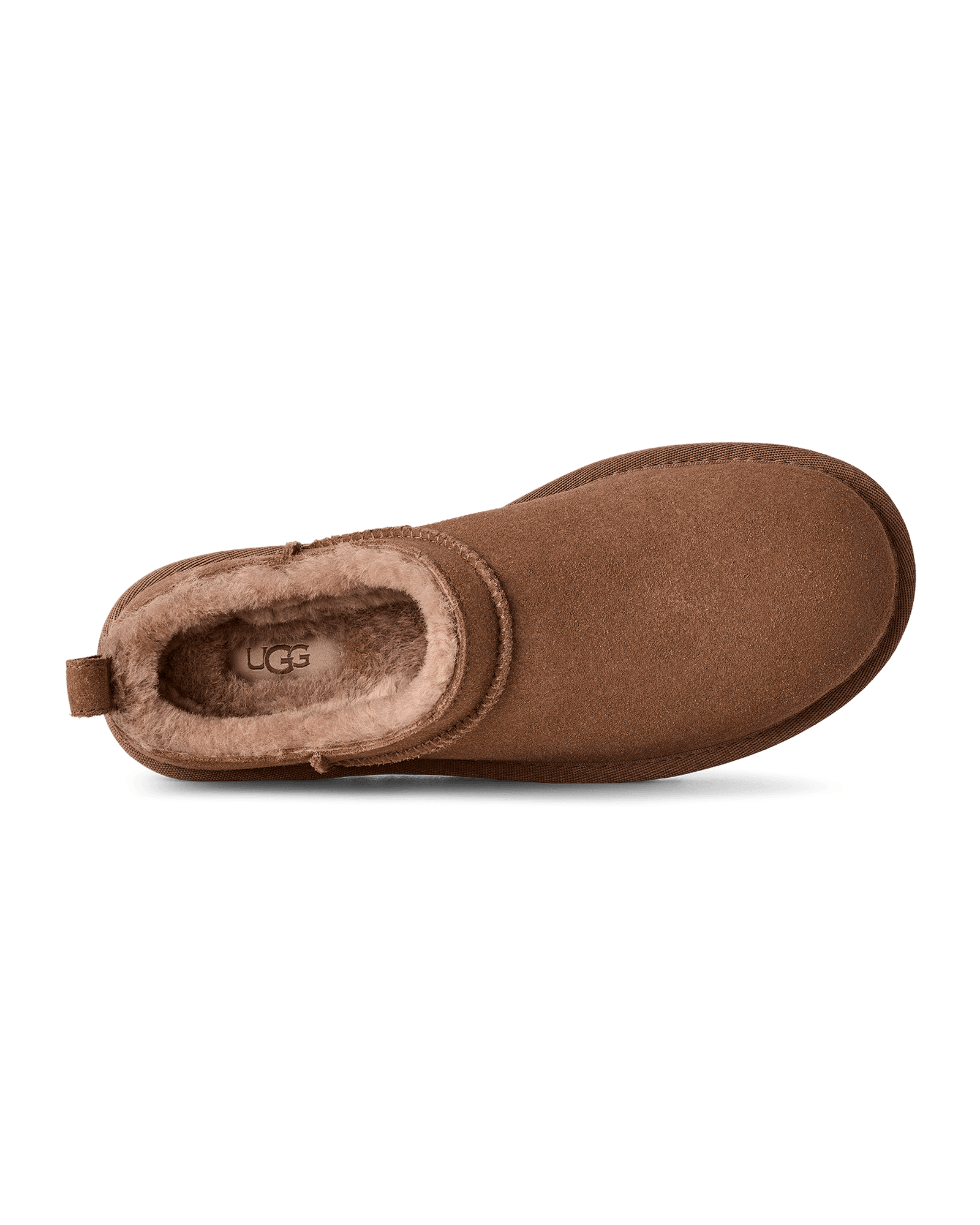 Rocky Oak
