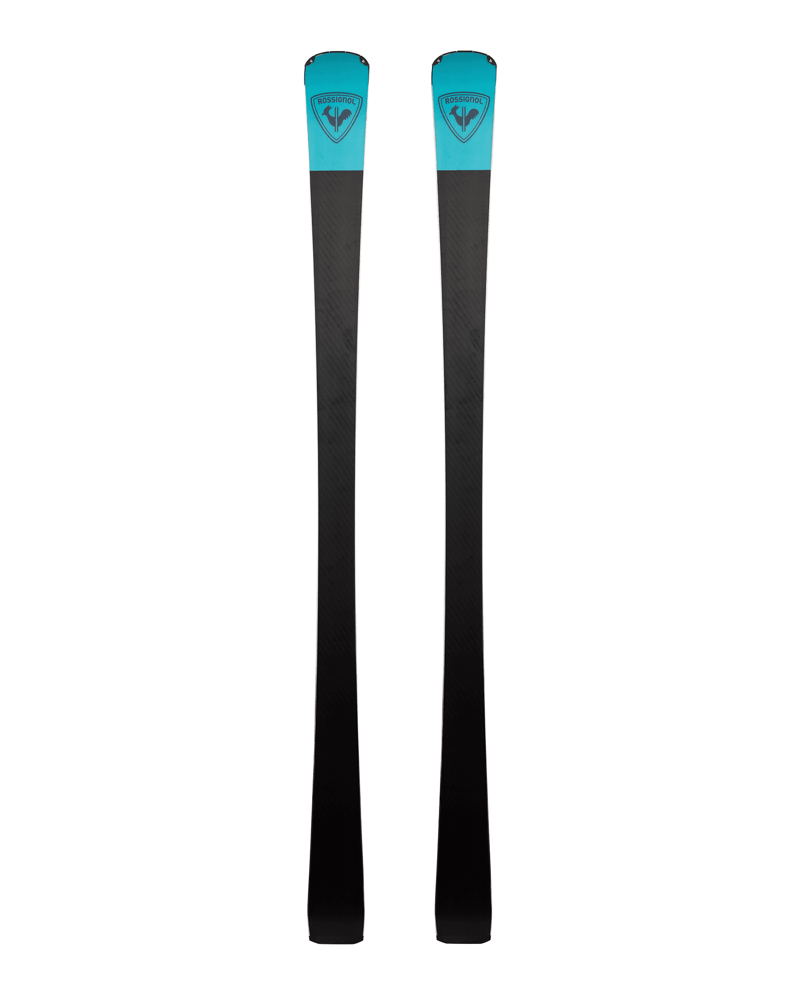 One Colour