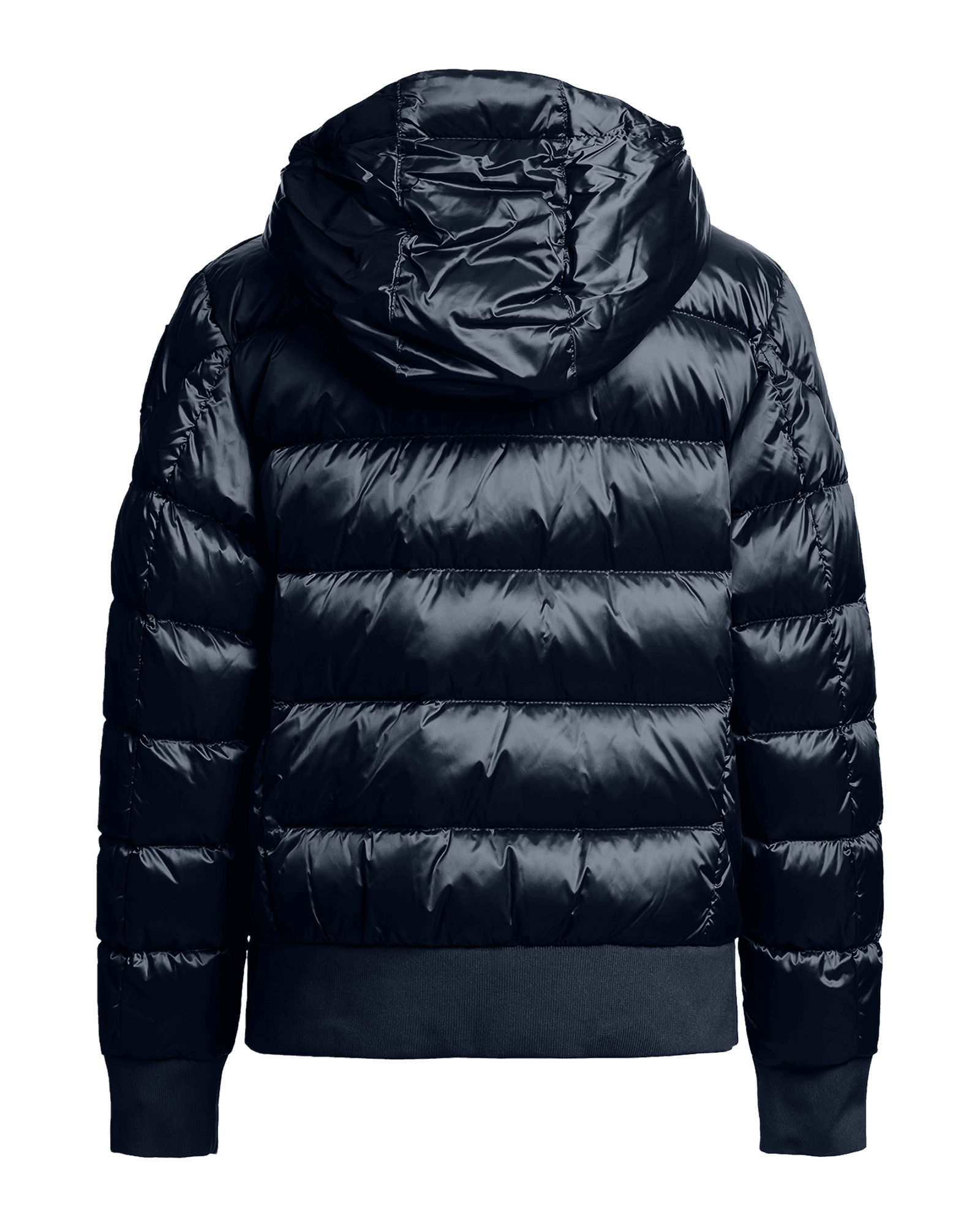 Blue Navy