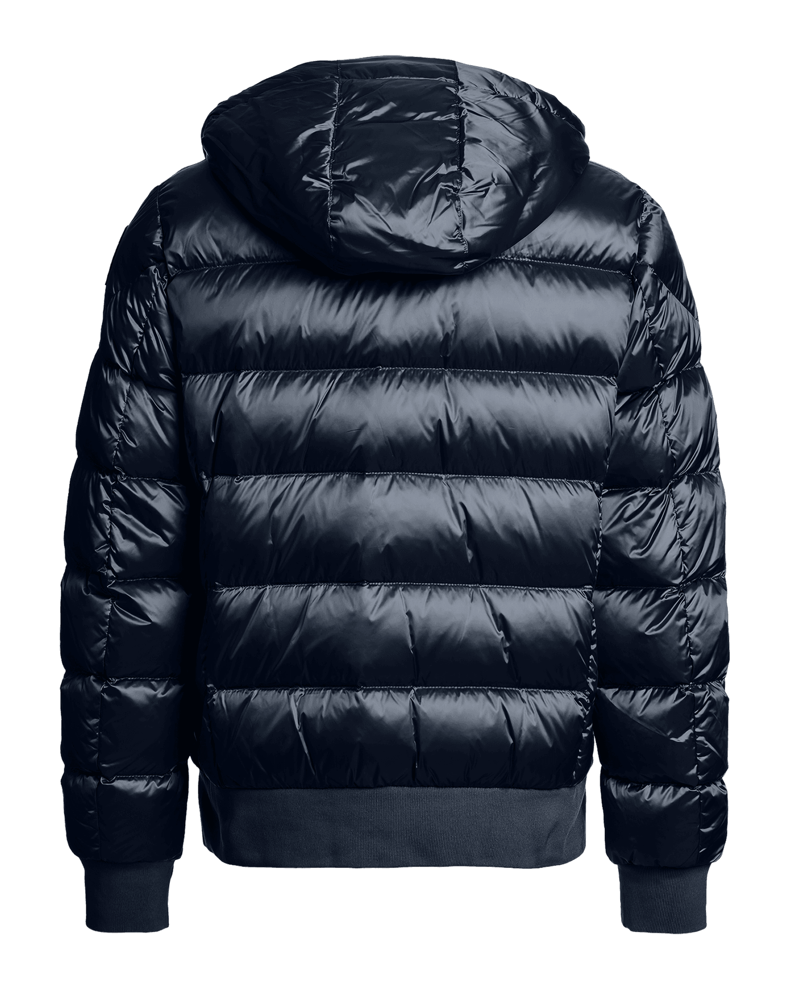 Blue Navy