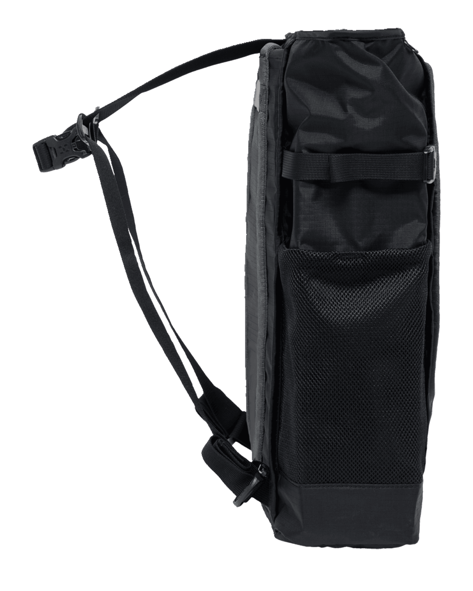 True Black/Magnetite