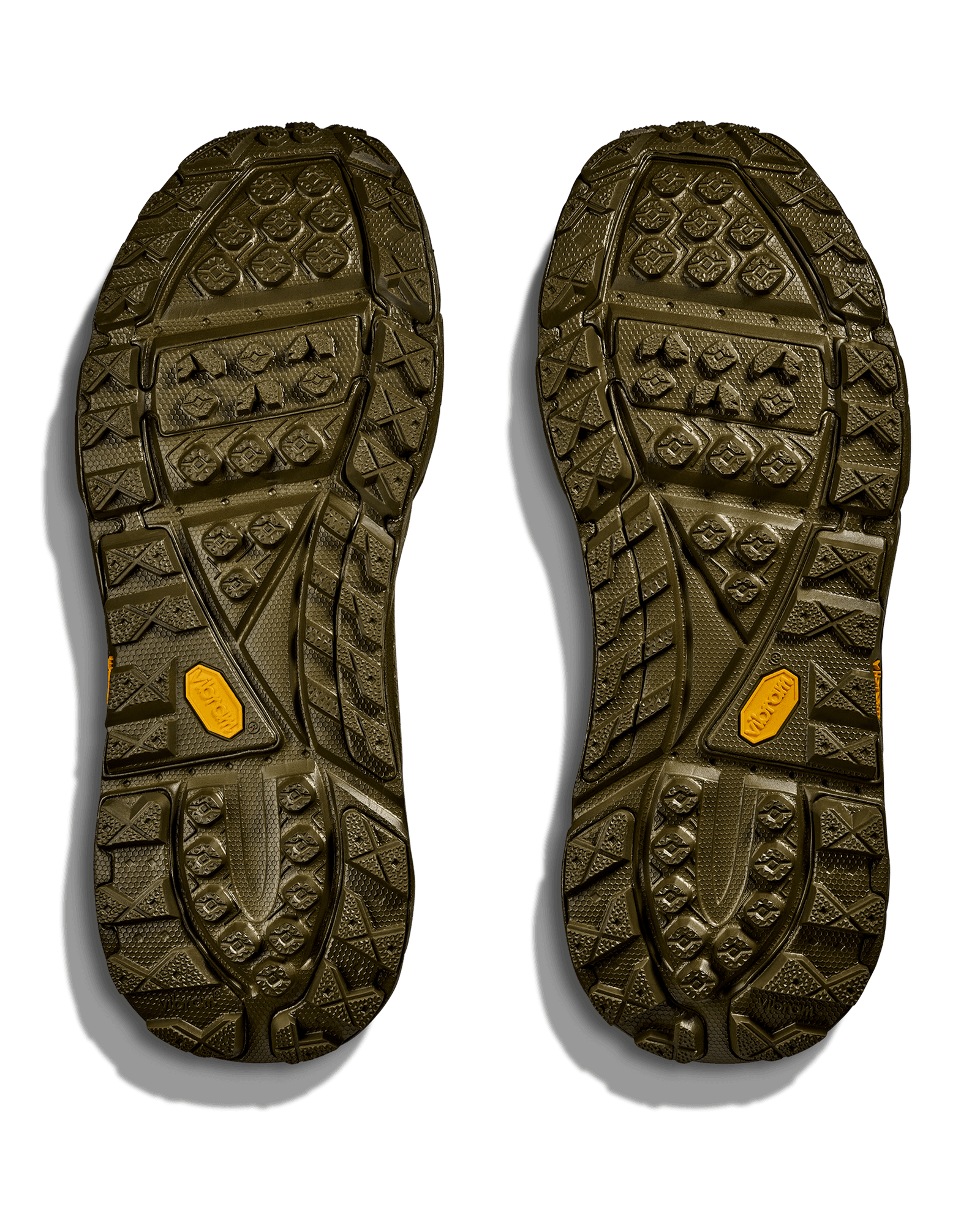 Moss Green/Spruce Green