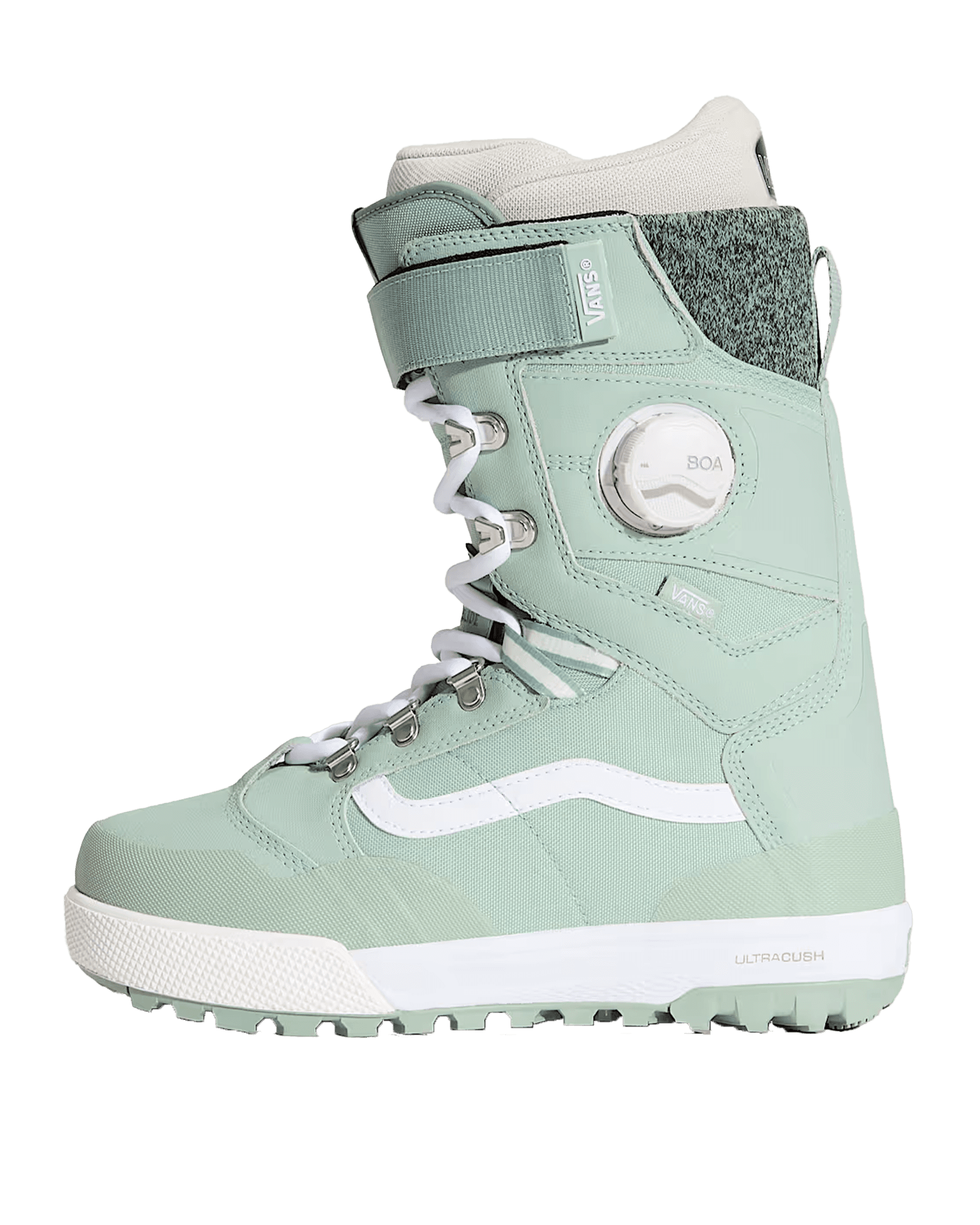 Gray Olive