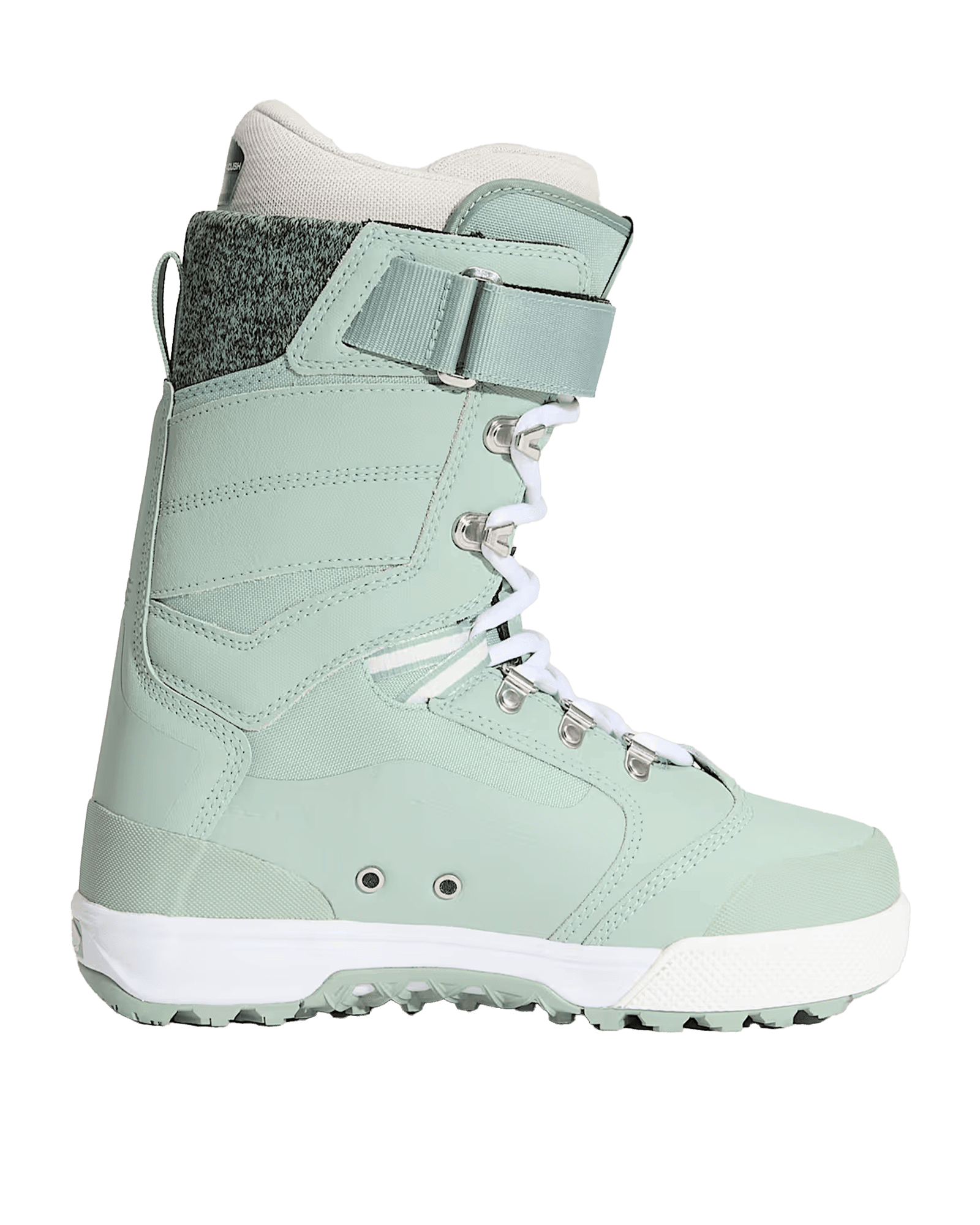 Gray Olive