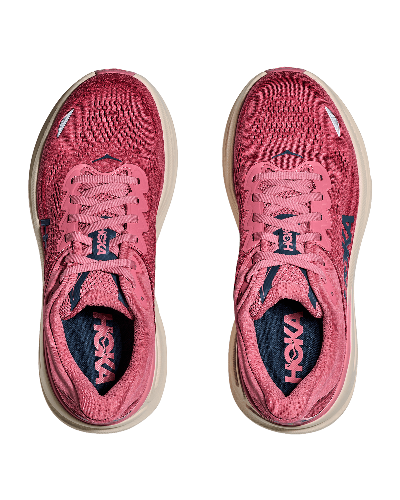 Lingonberry / Cranberry