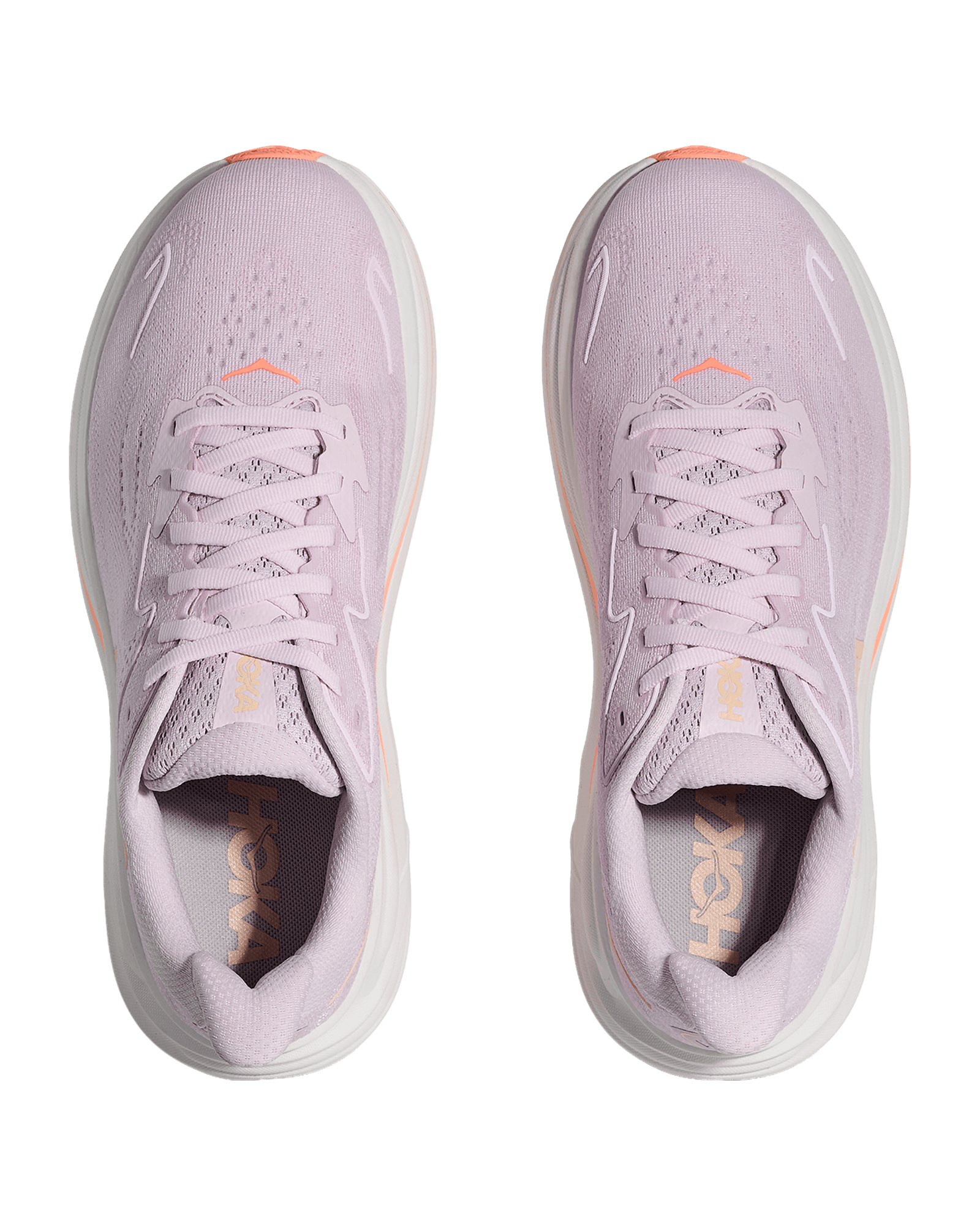 Lilac Cream / Tangerine Glow