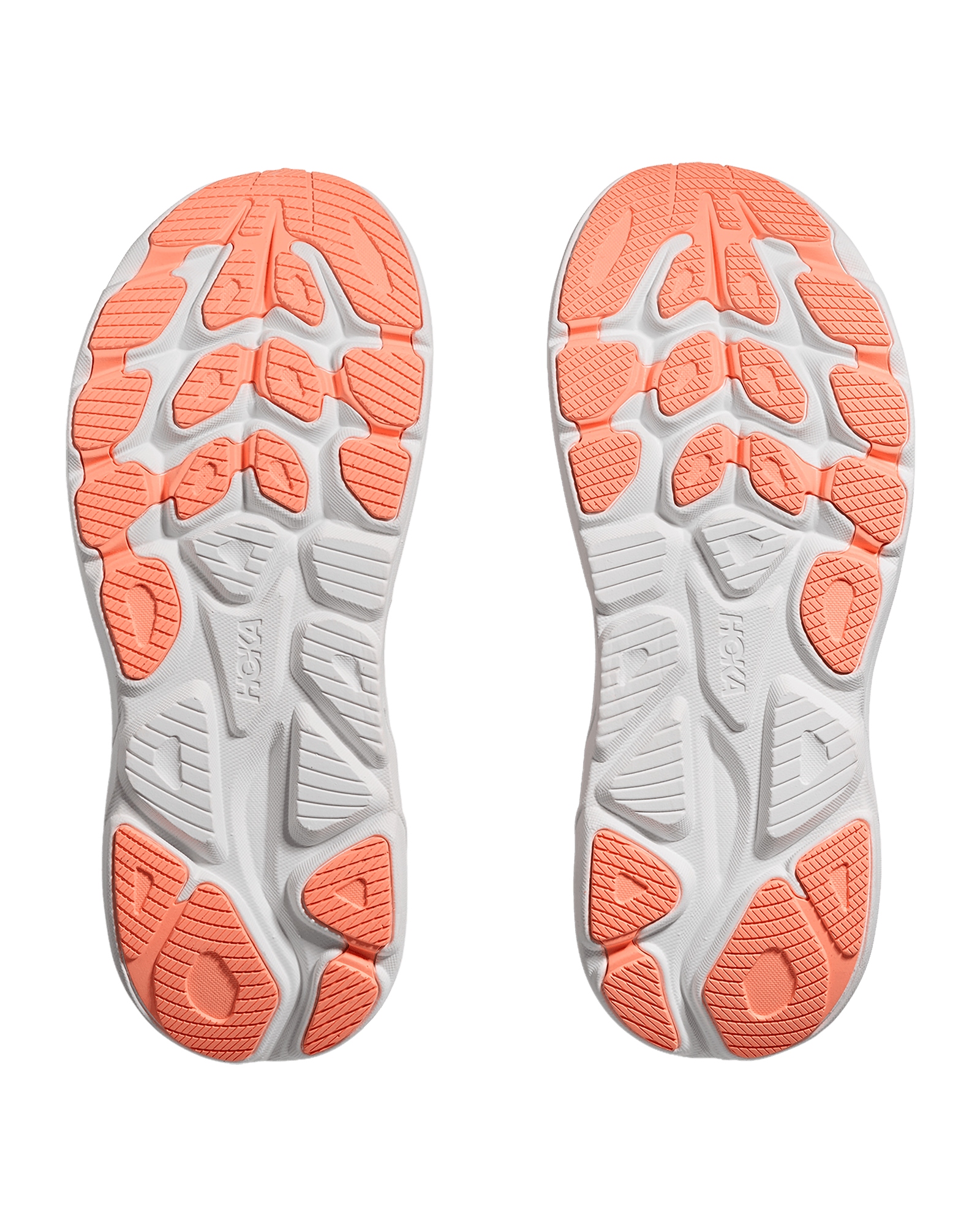 Lilac Cream / Tangerine Glow