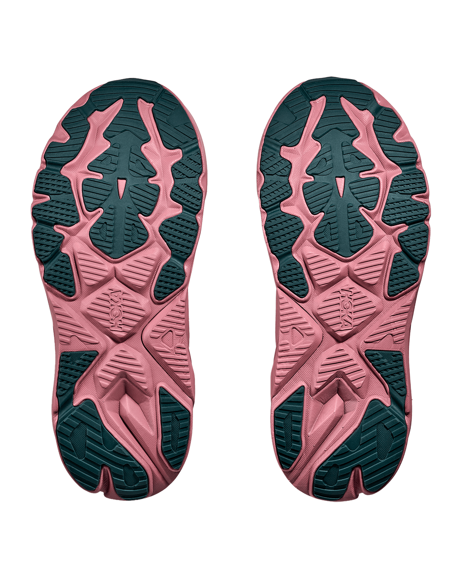 Alabaster / Lingonberry