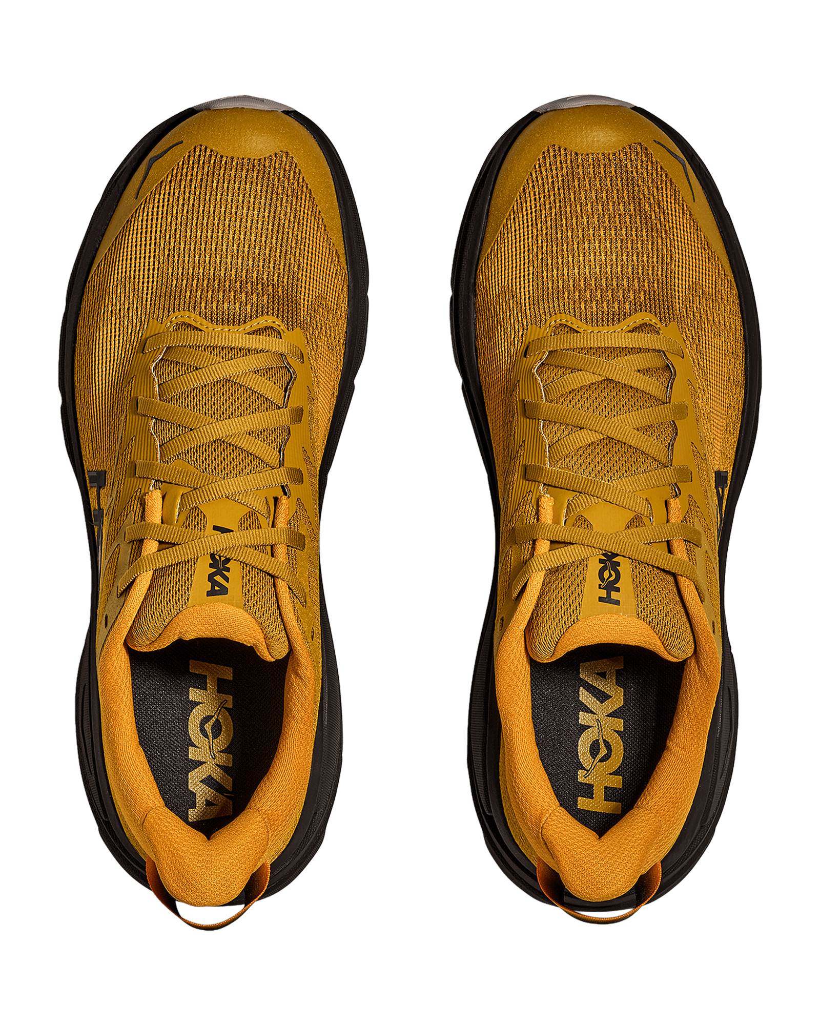 Mustard Seed / Black