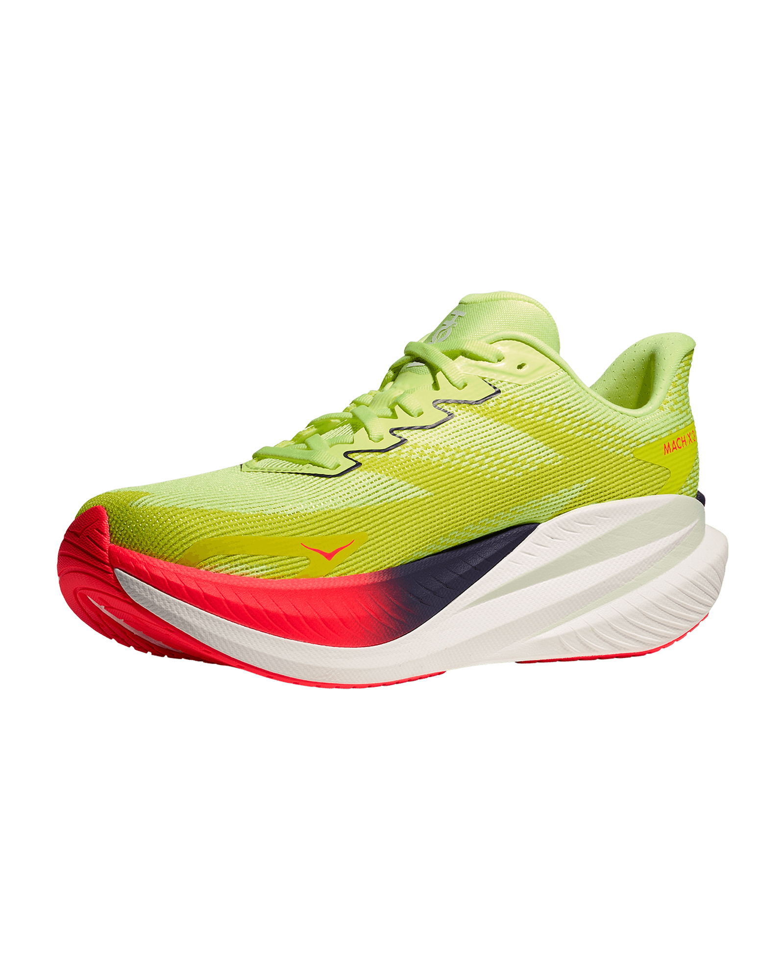 Neon Yuzu / Squid Ink