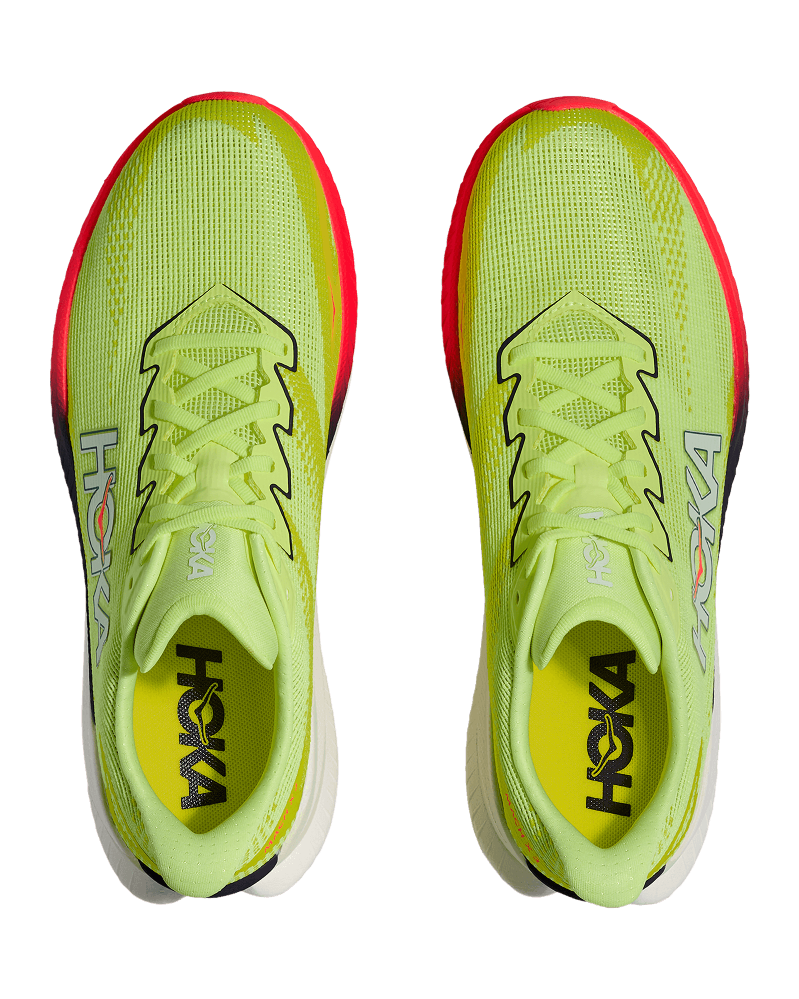 Neon Yuzu / Squid Ink