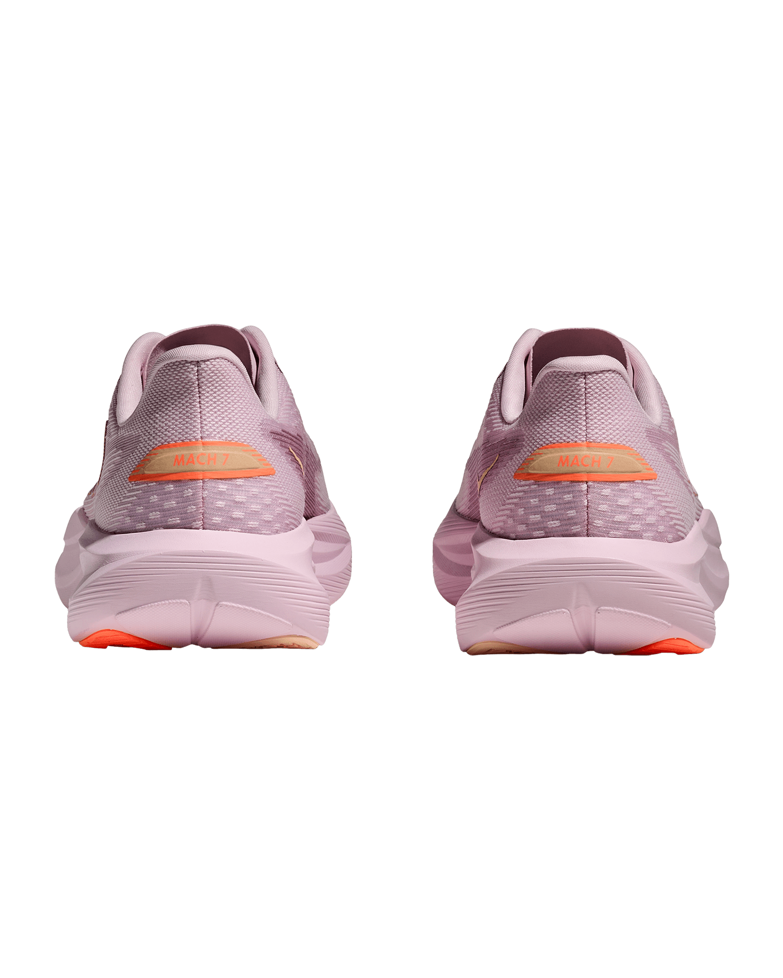 Lilac Cream / Tangerine Glow