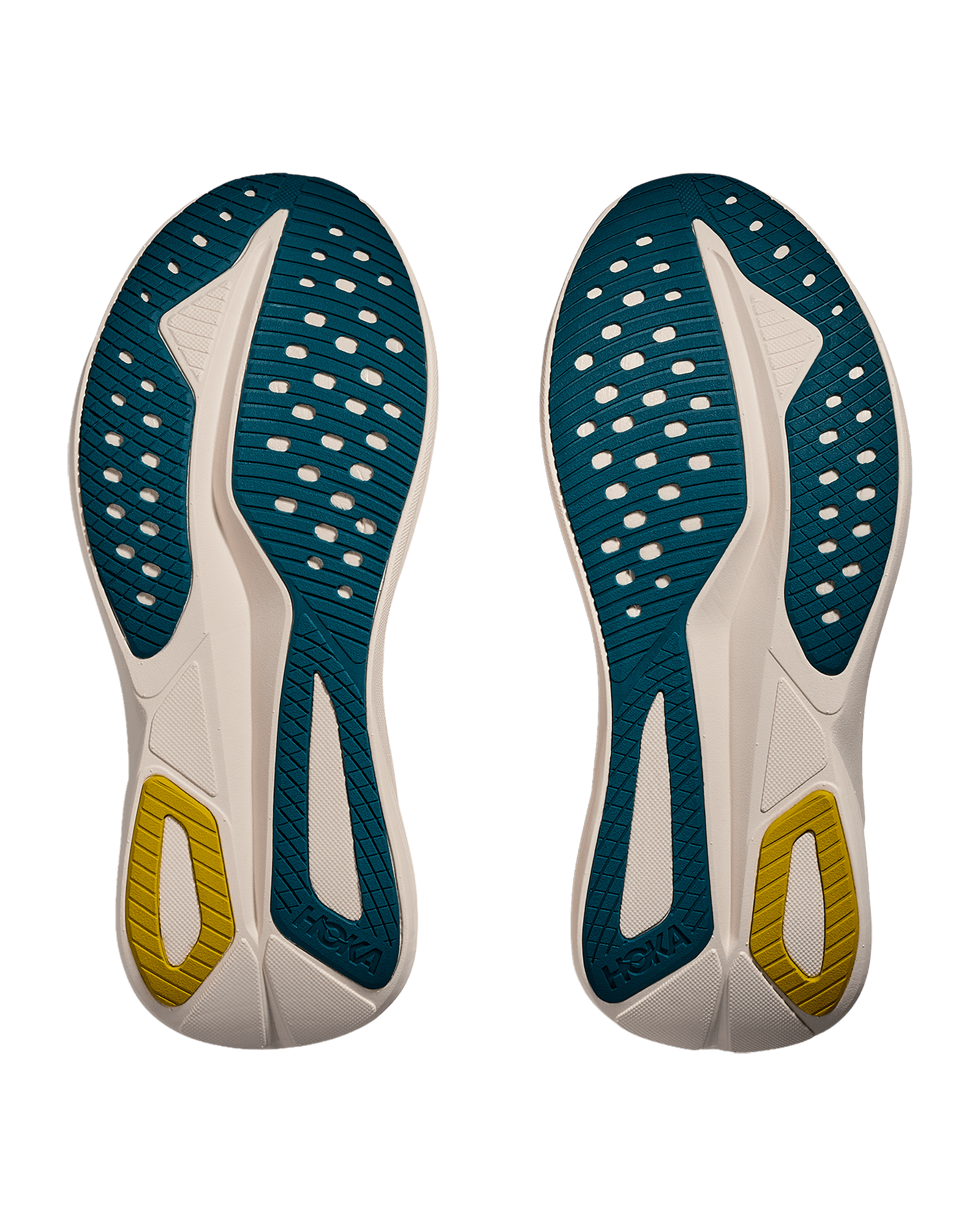 Lingonberry / Cranberry