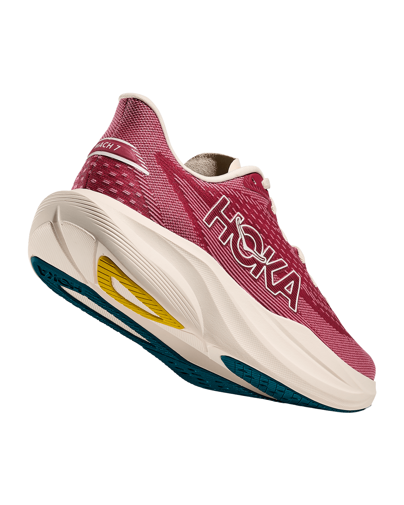 Lingonberry / Cranberry