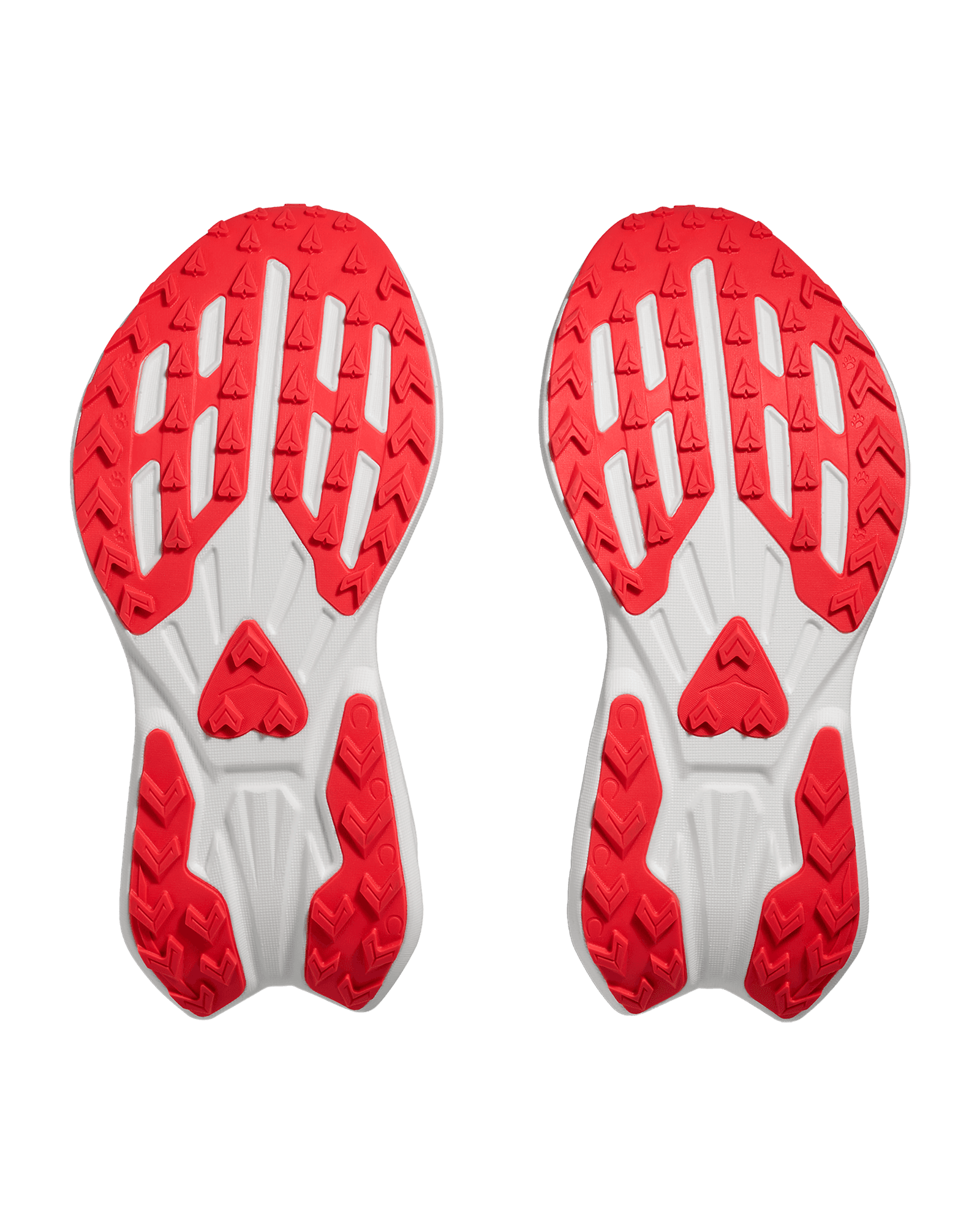 Neon Yuzu / Neon Flame