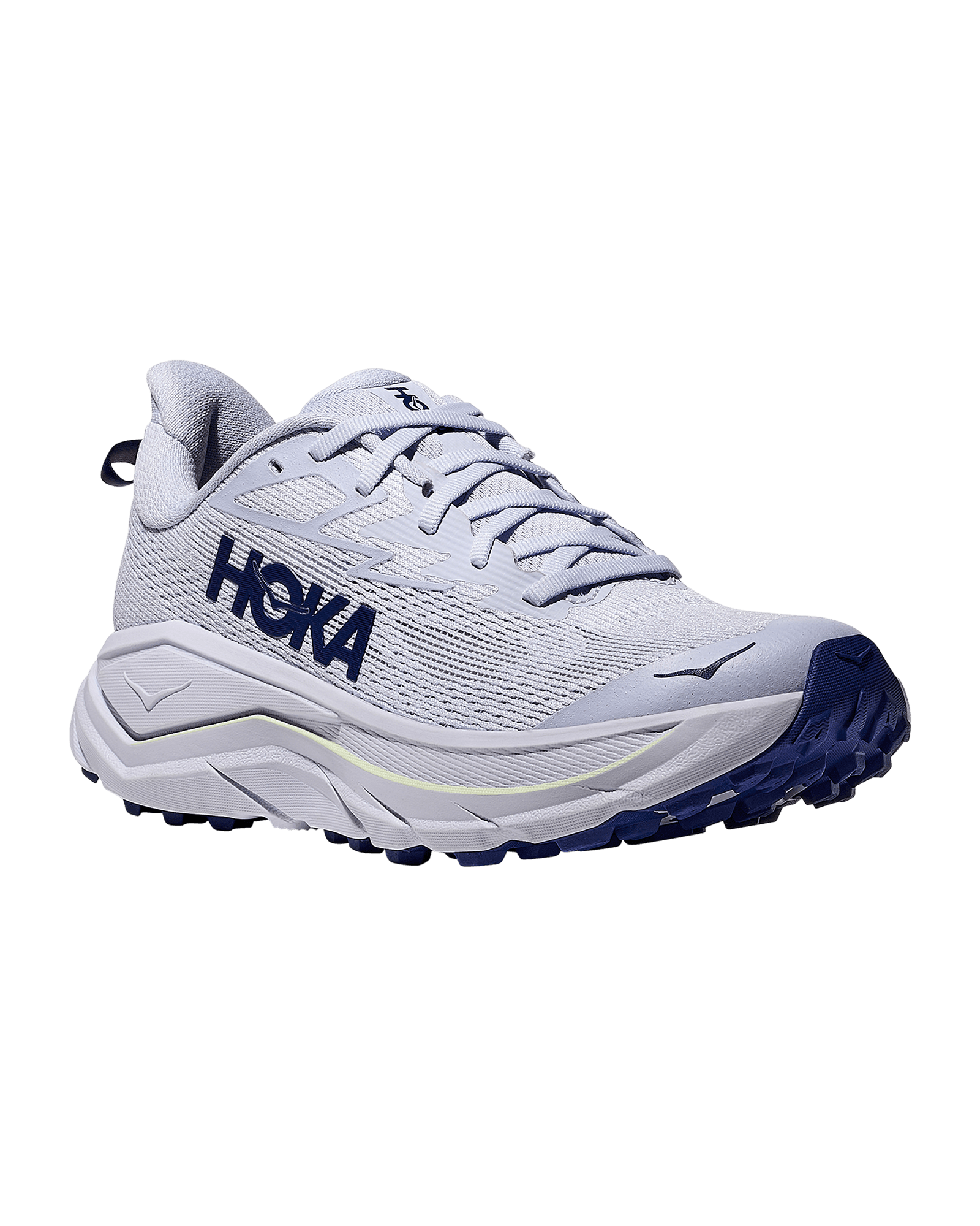 Ambient Blue / Blueberry