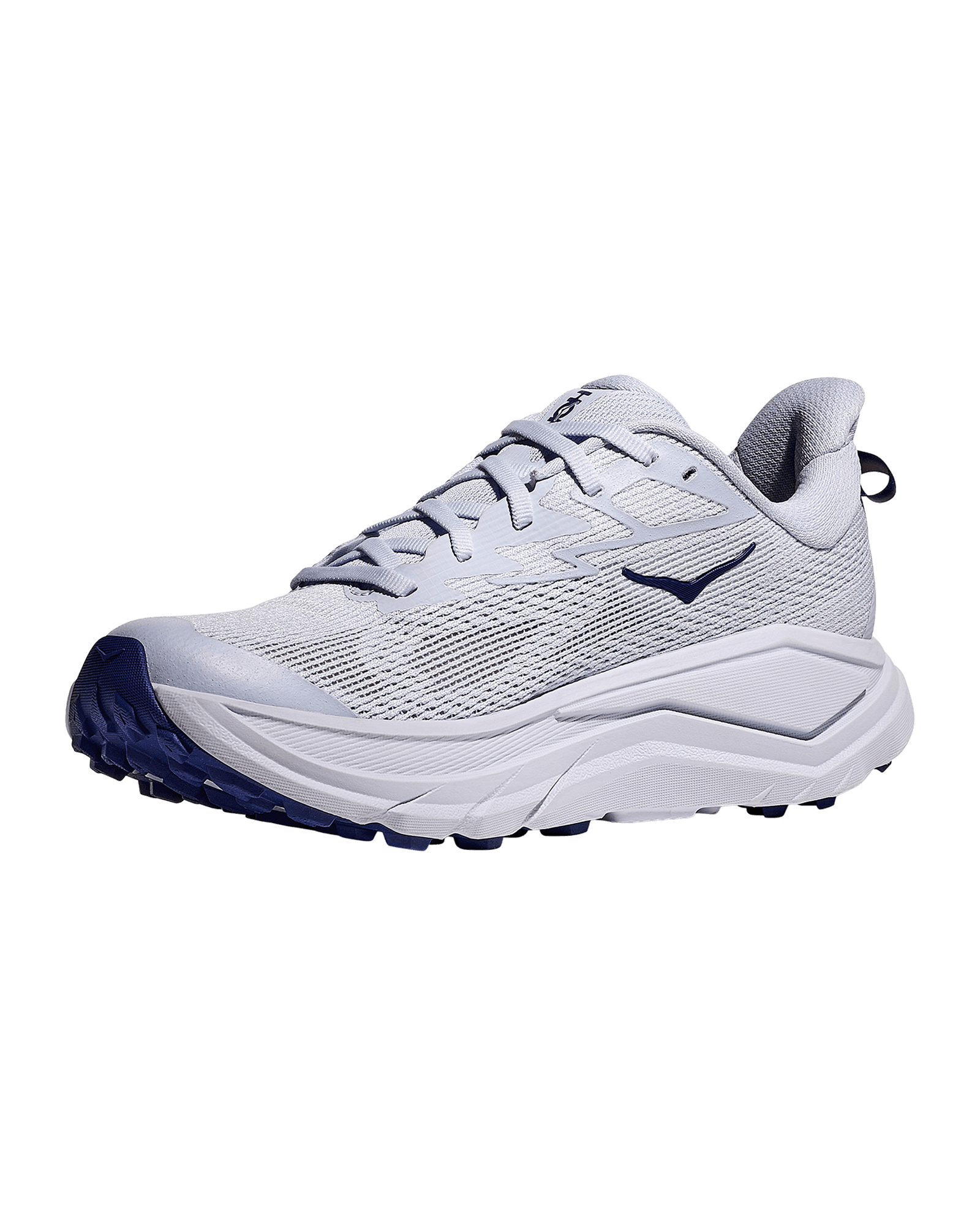 Ambient Blue / Blueberry