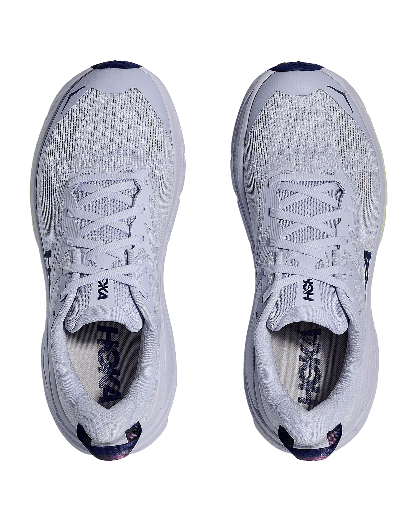 Ambient Blue / Blueberry