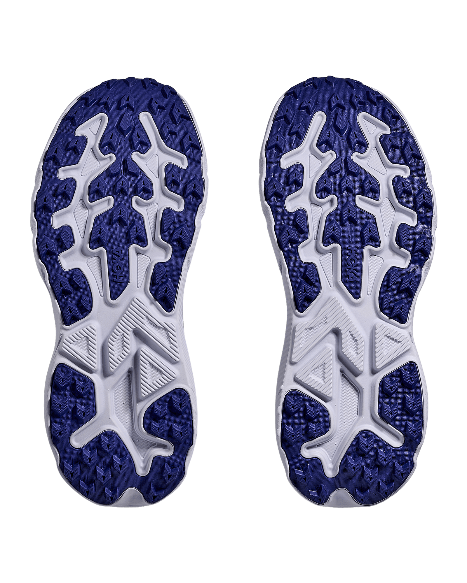 Ambient Blue / Blueberry