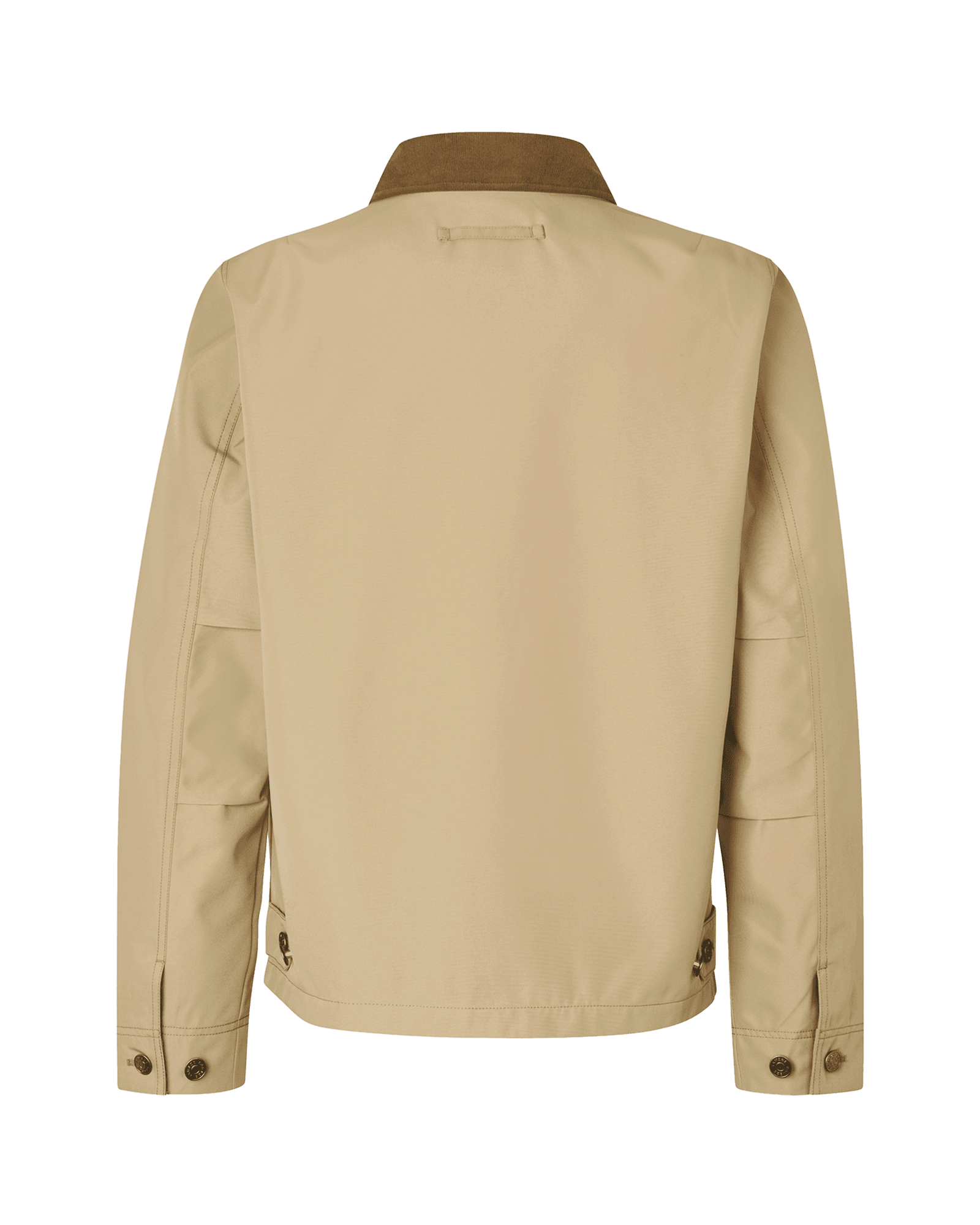 Olive Gray