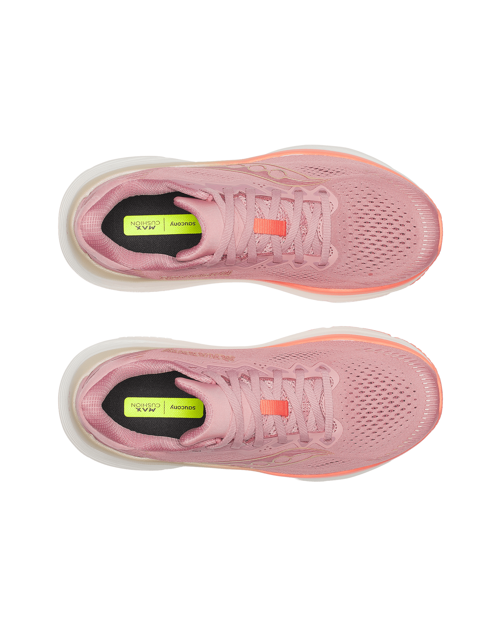 Mauve/Salmon