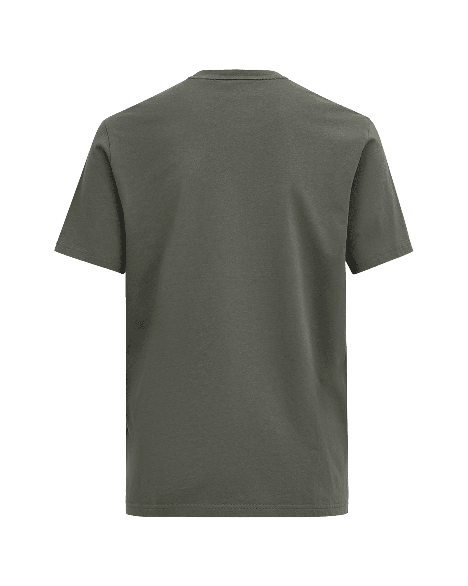 Pine Needle/Offwhite/