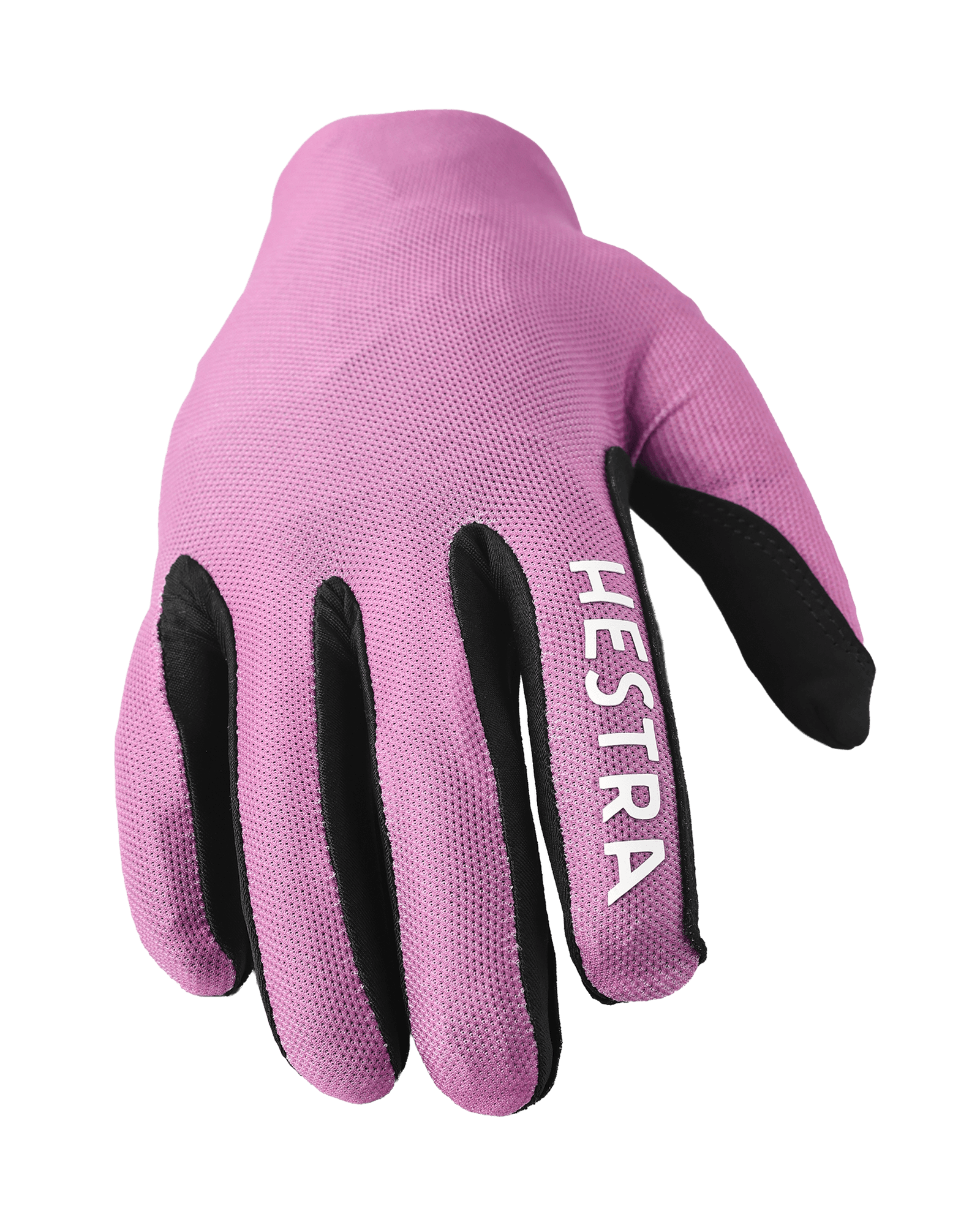 Cerise