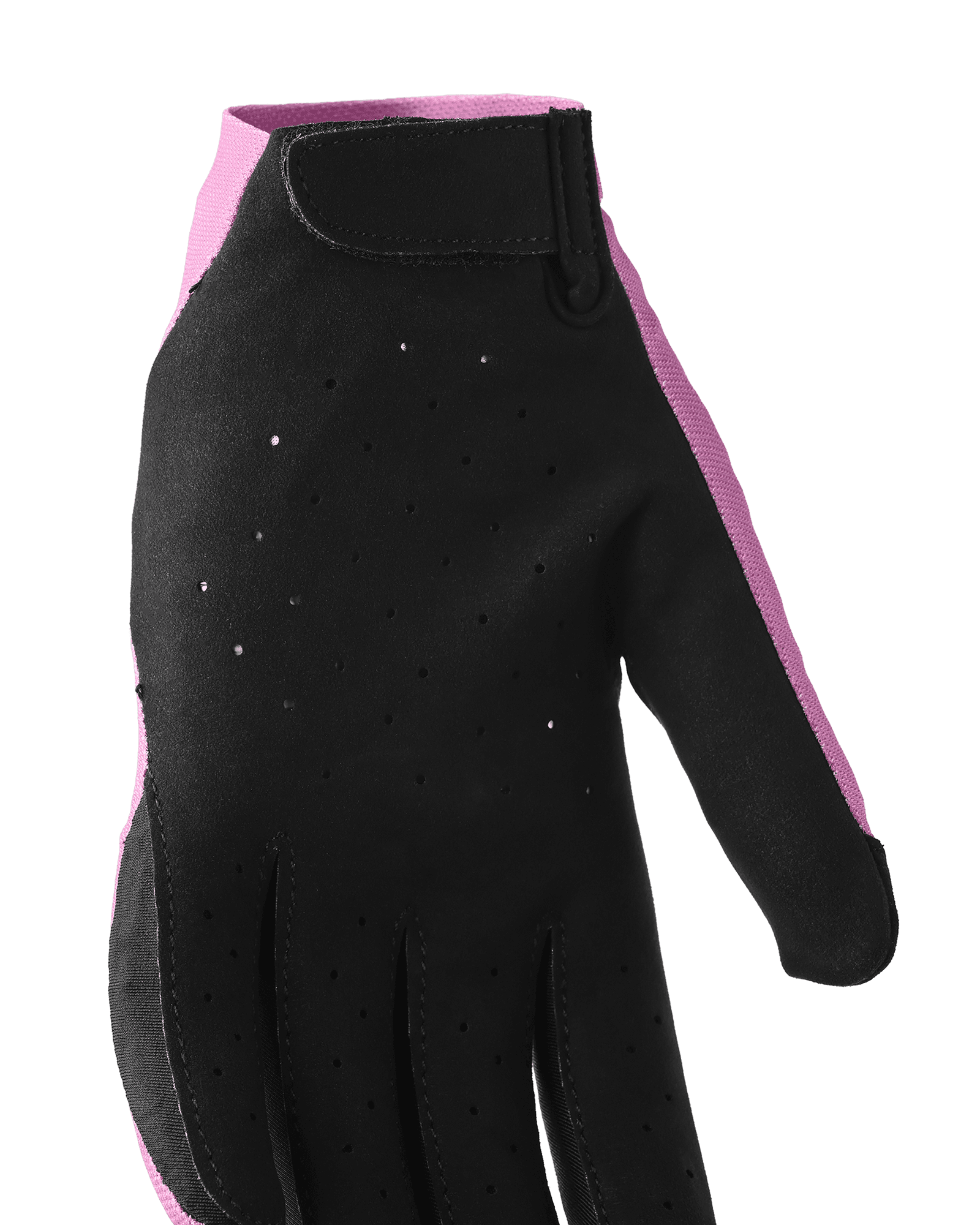 Cerise