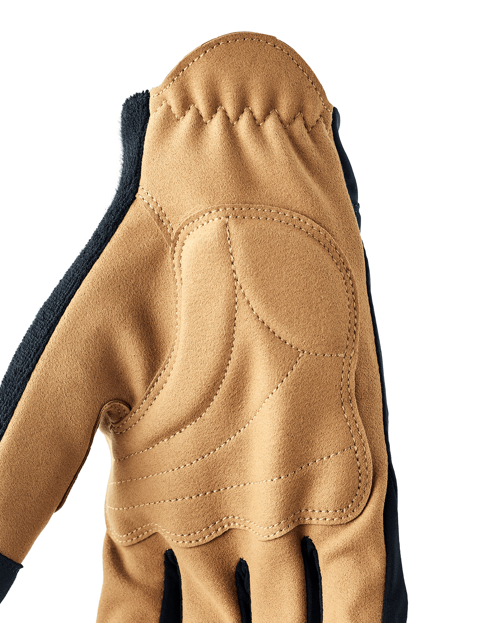 Navy/Tan